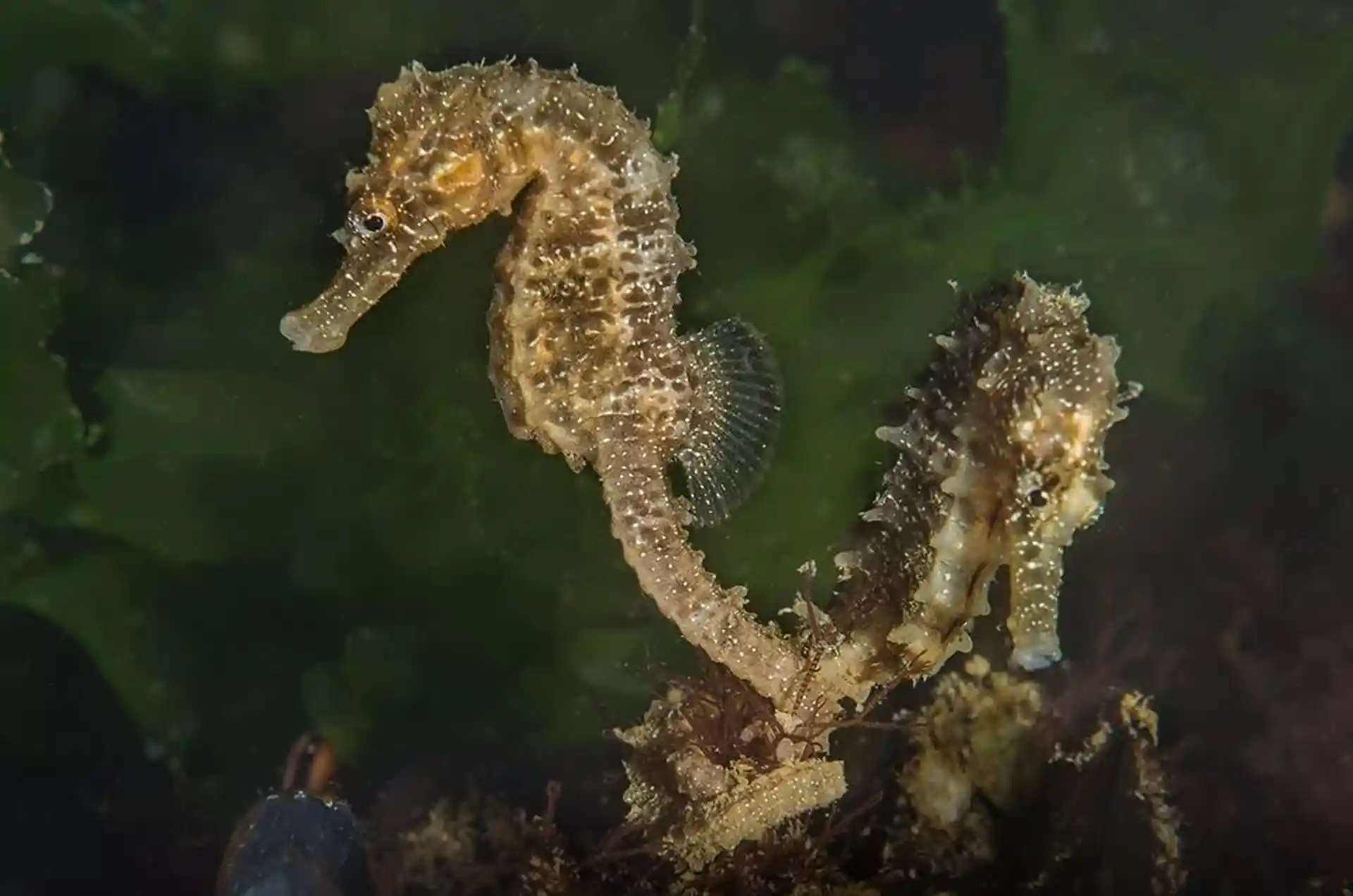 ダイビングサイトの写真