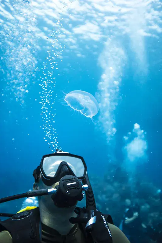 Dive operator picture