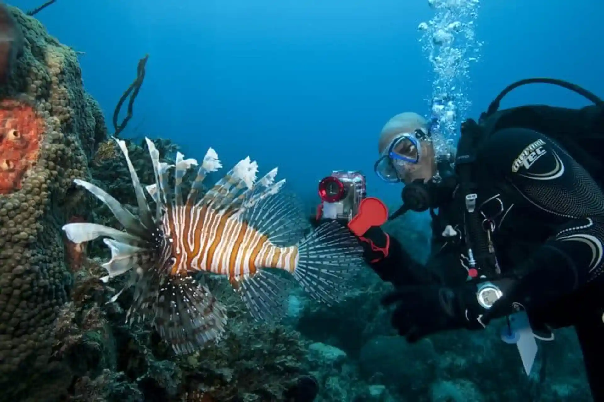Dive site photo