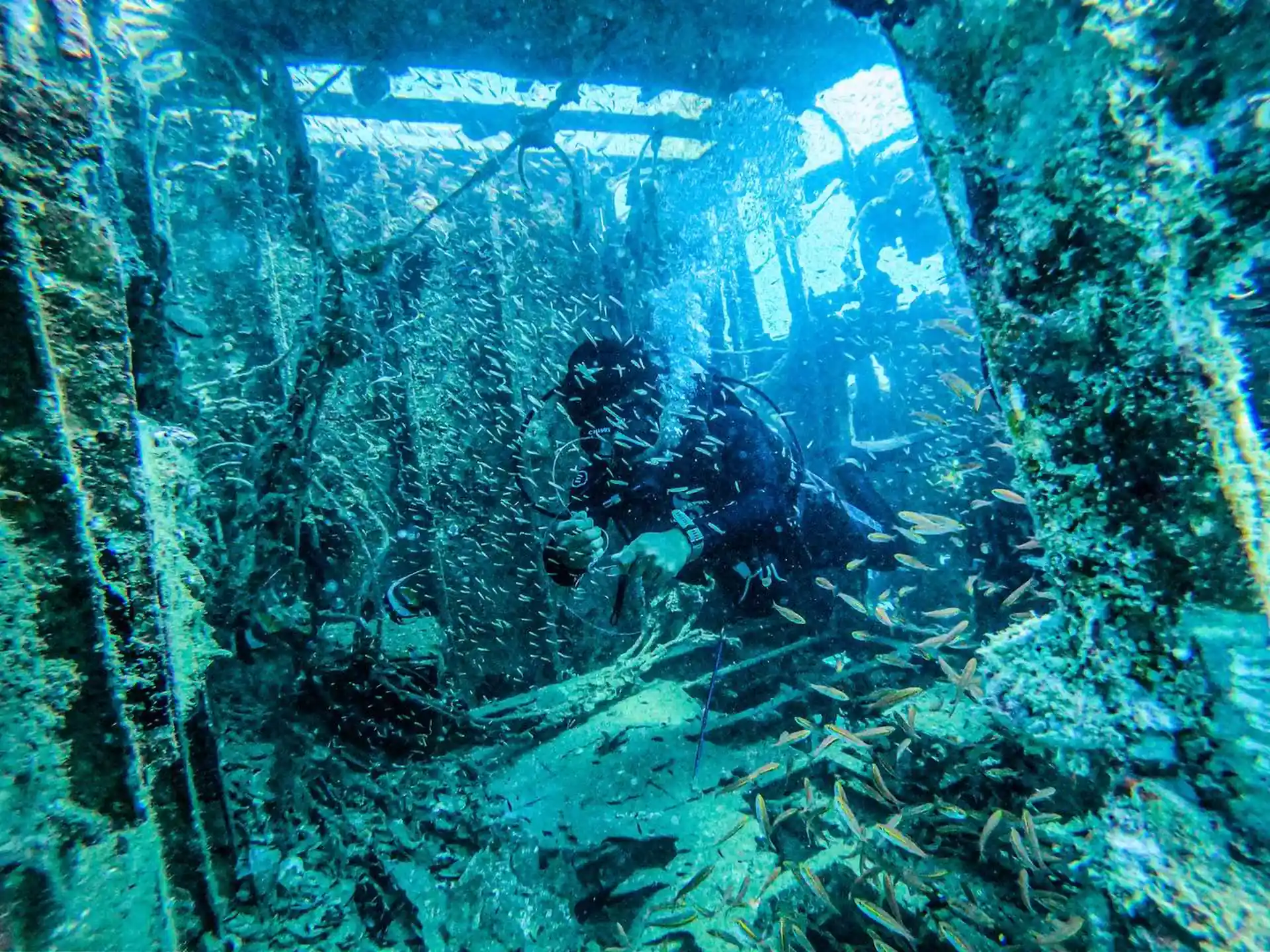 Dive site photo