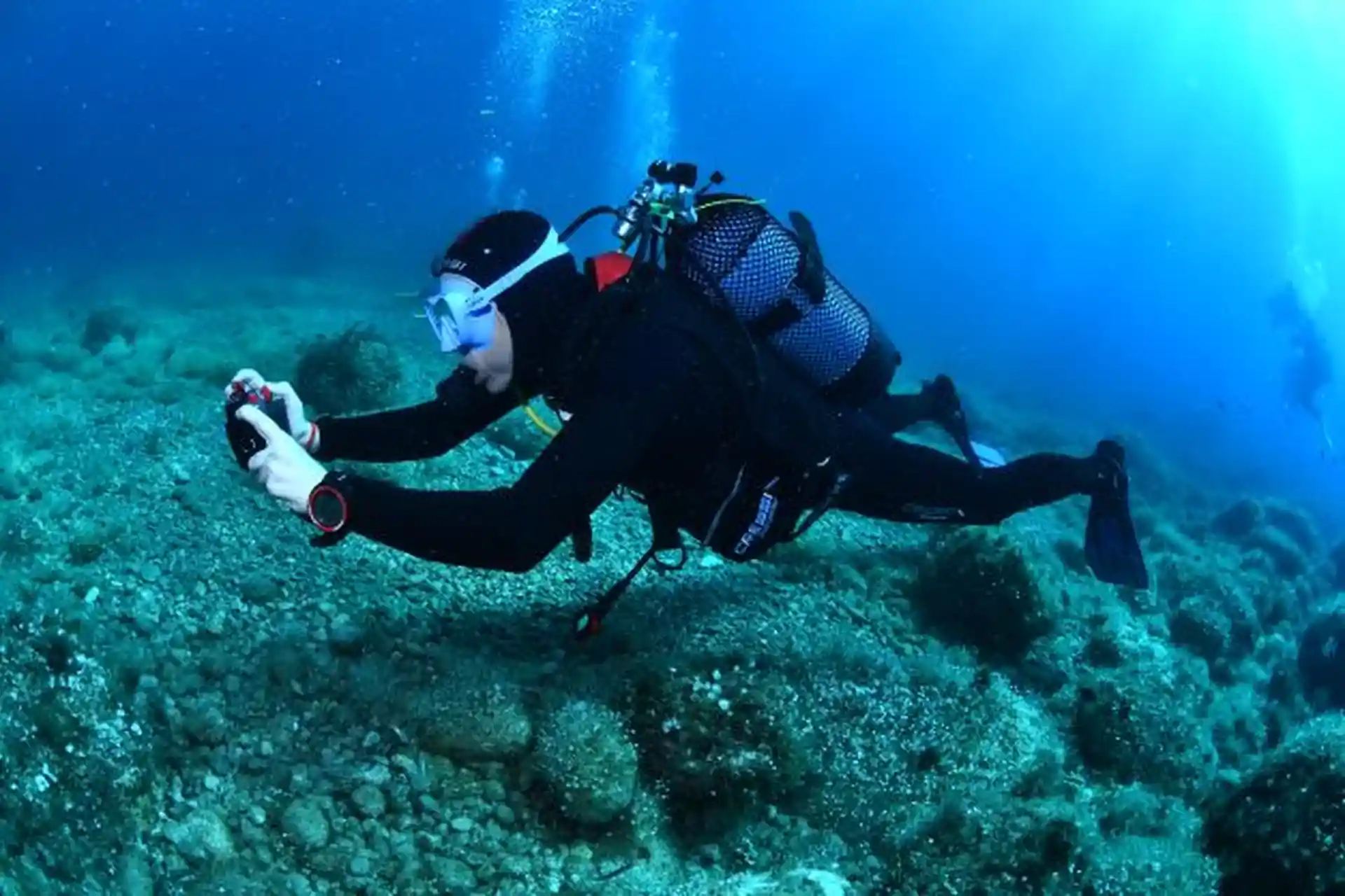 Photo de l'activité