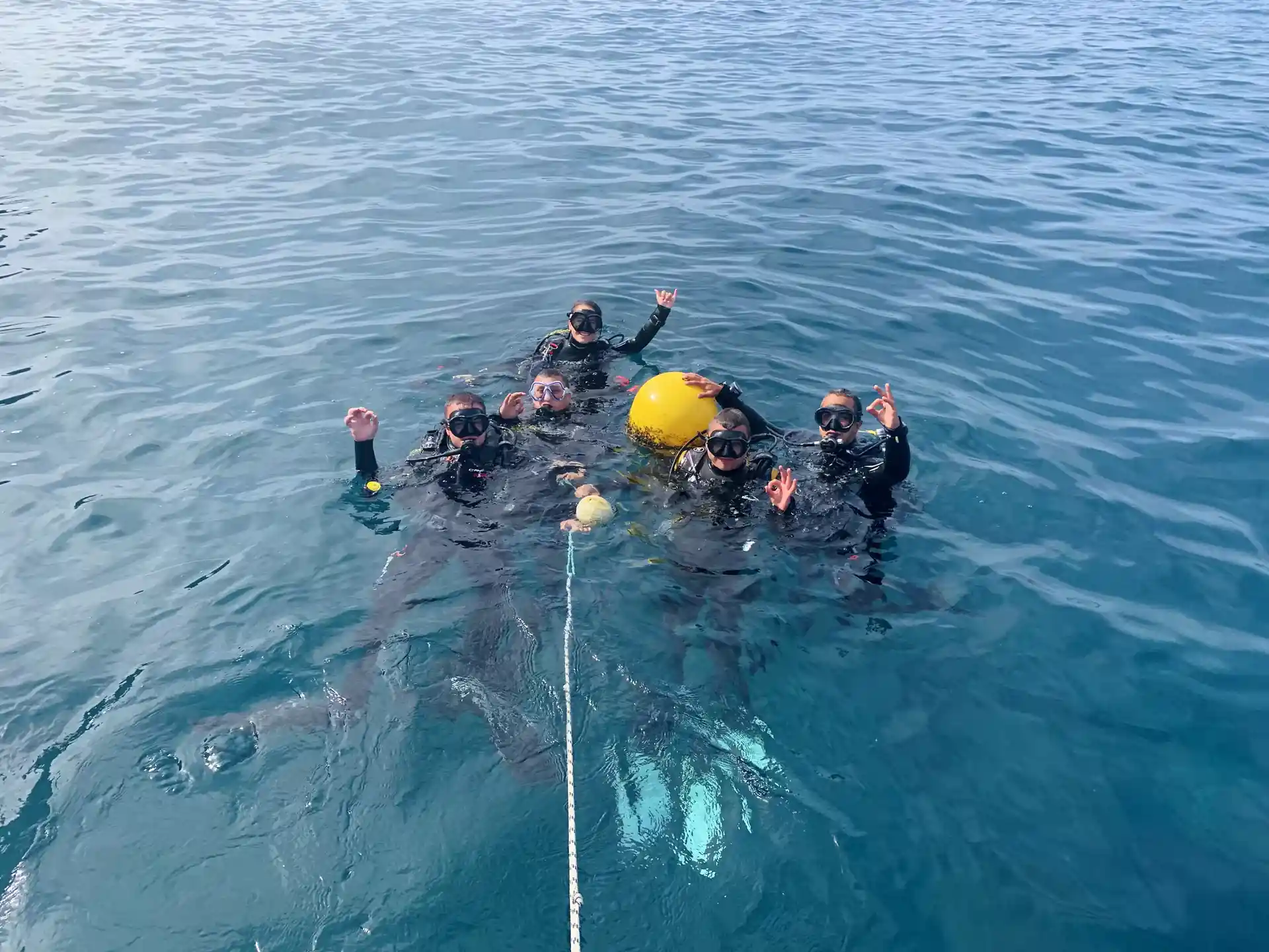 Photo de l'activité