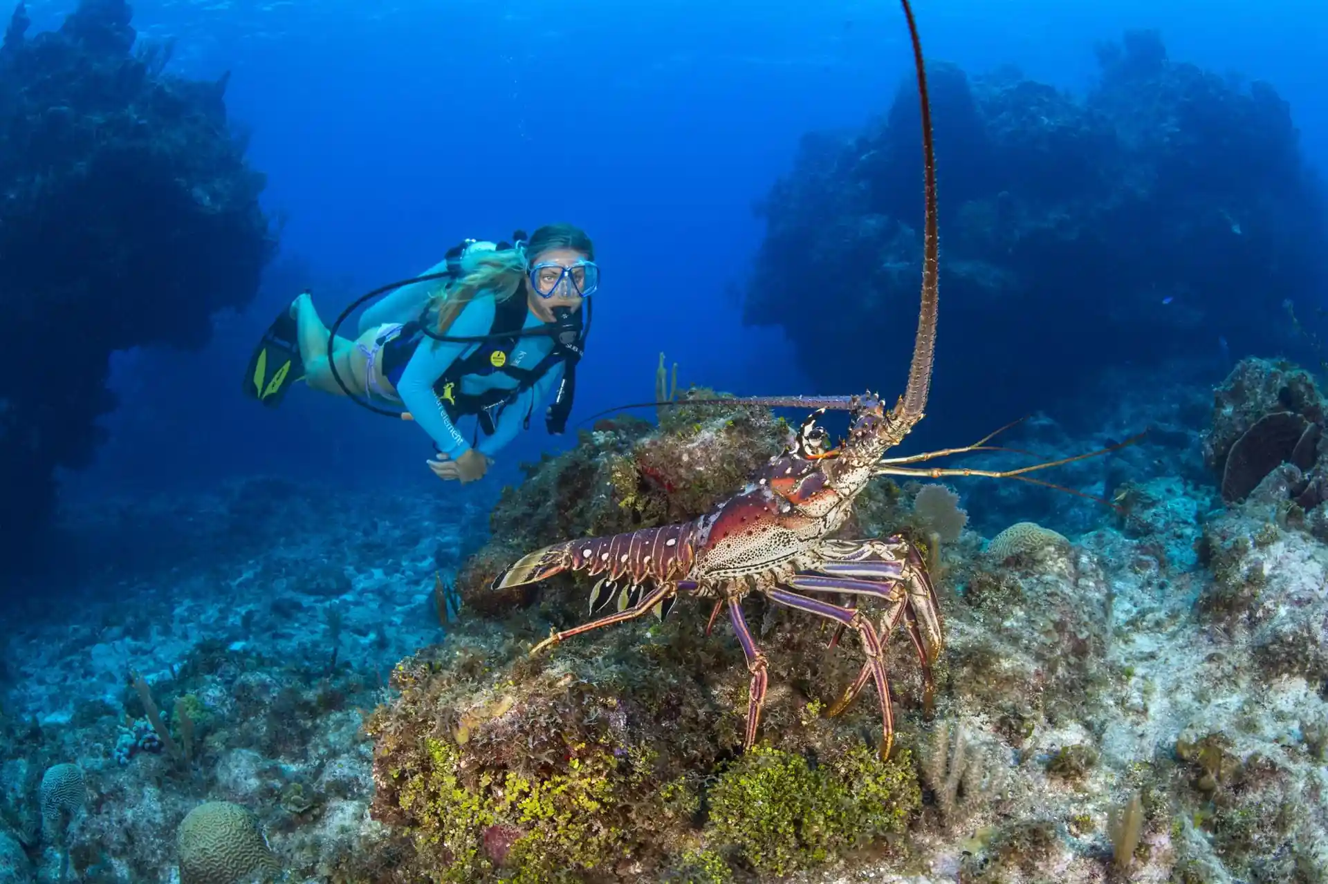 Dive site photo