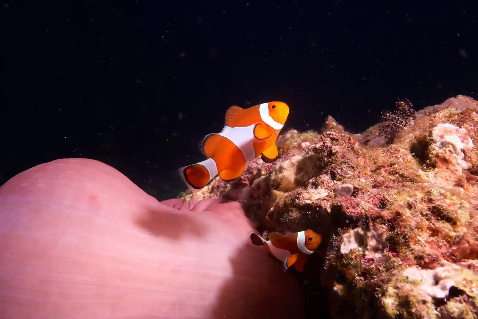 Dive site photo