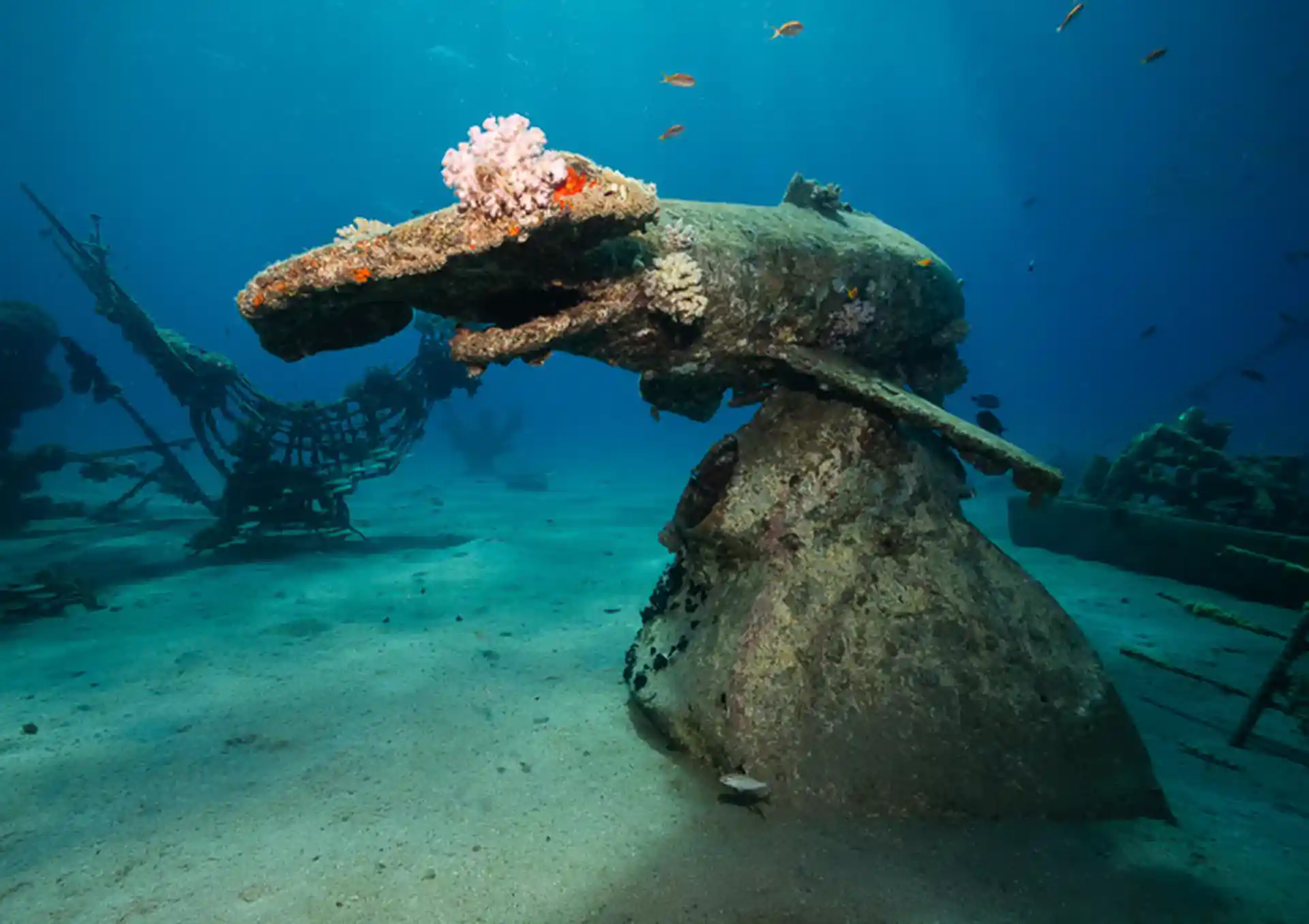Circle Divers Dahab house reef