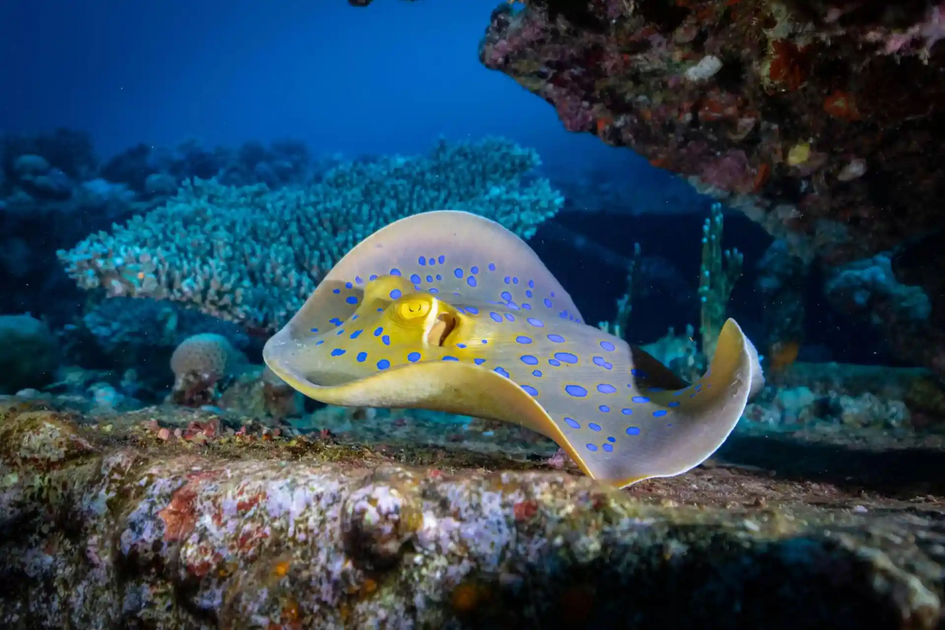 Foto des Tauchplatzes