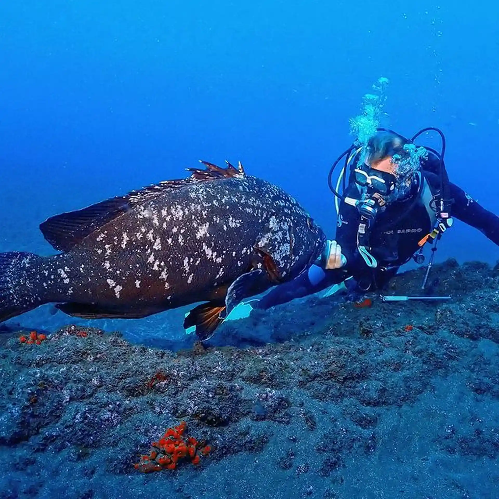 Dive site photo