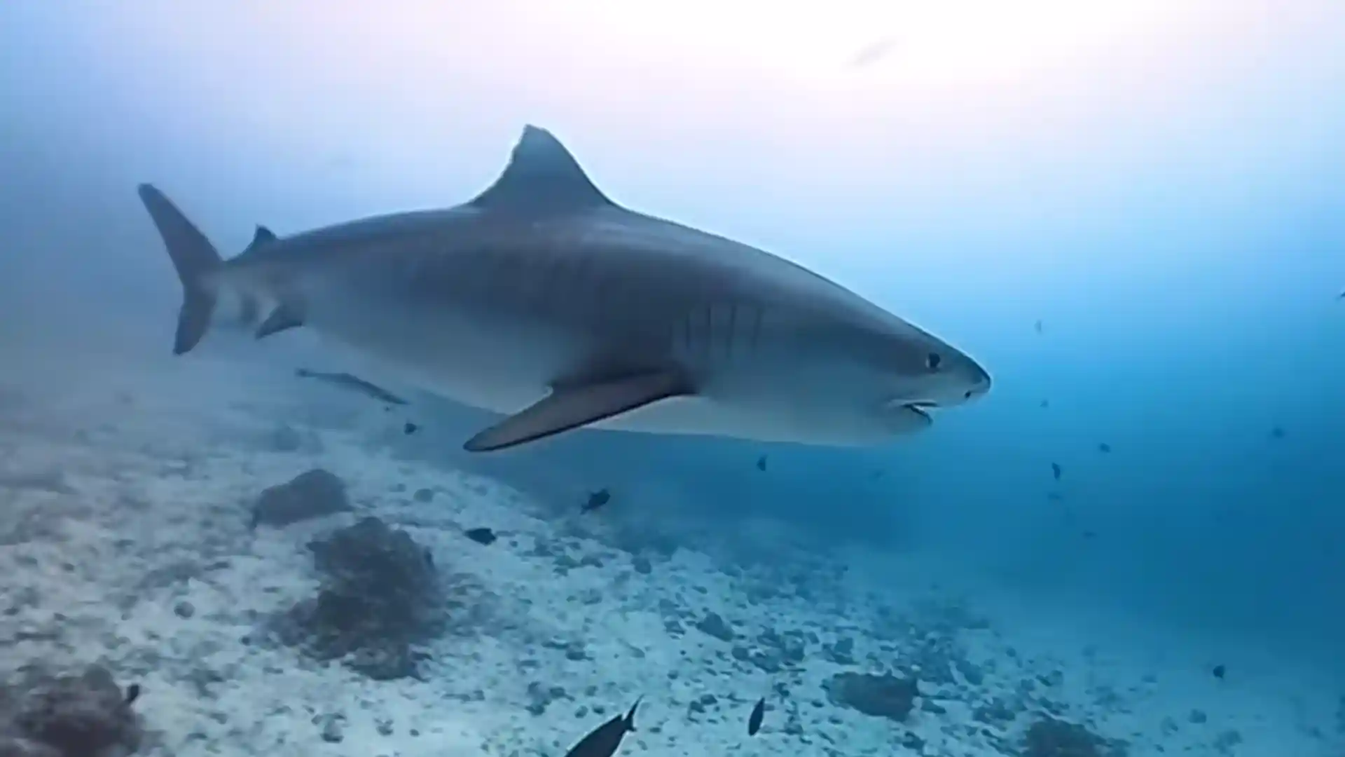 Foto del sitio de buceo