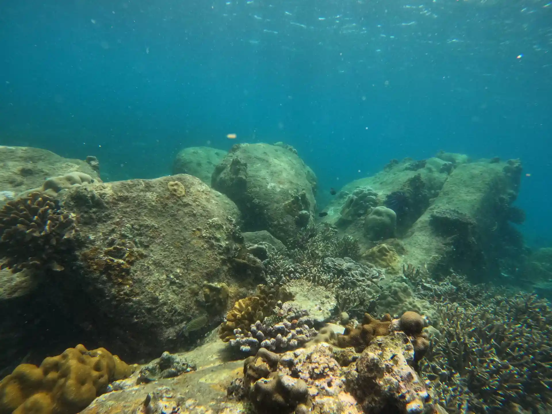 Foto del sitio de buceo