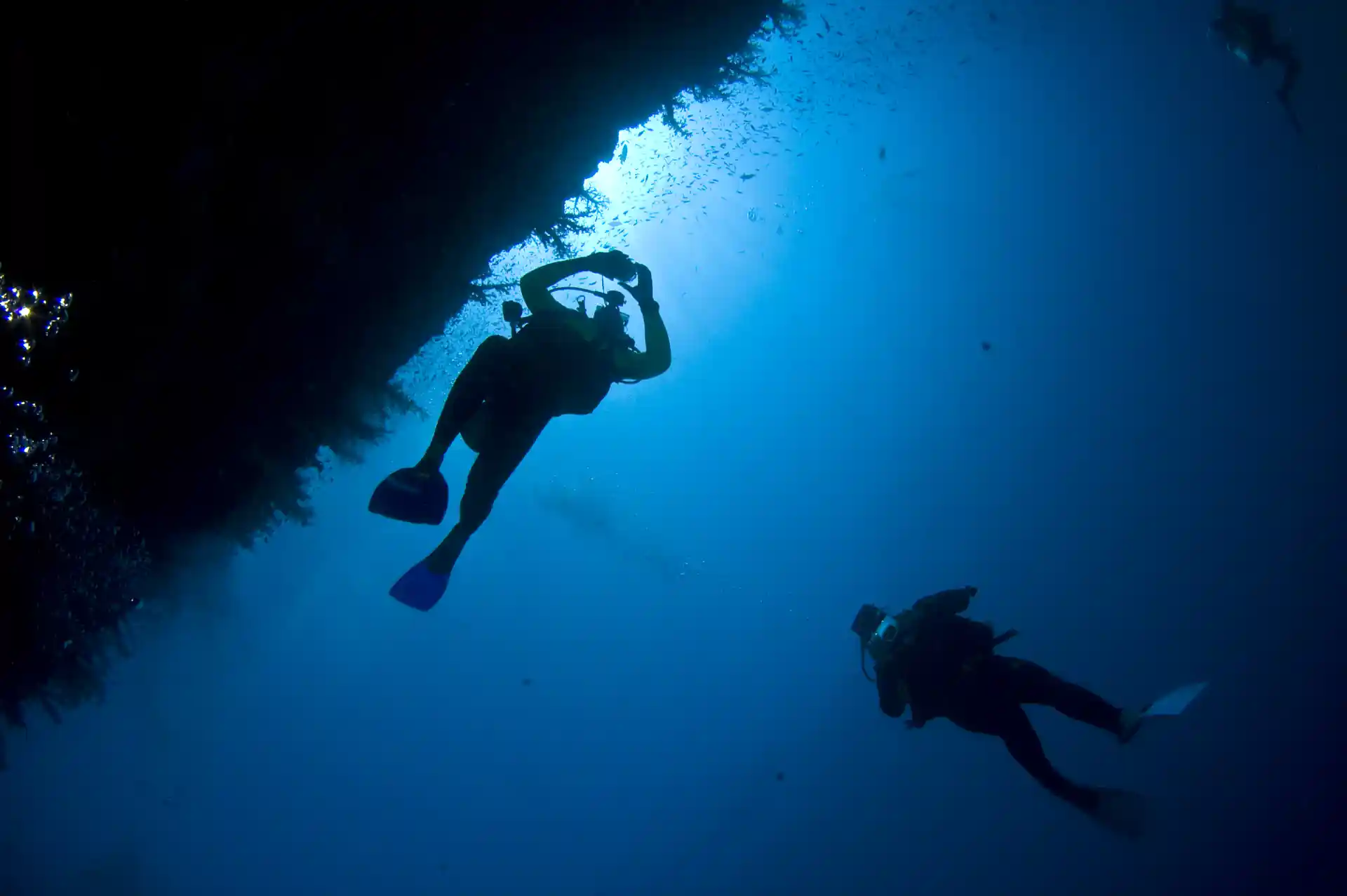 Photo de l'activité