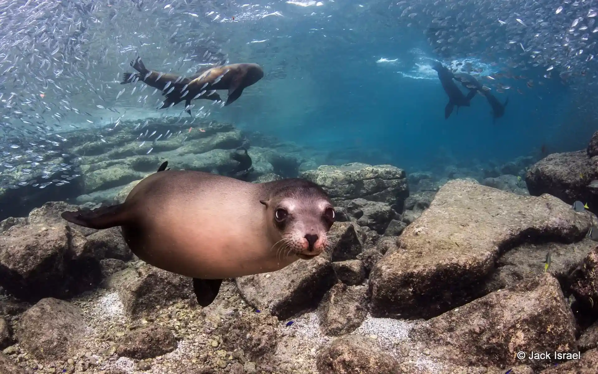 Dive site photo