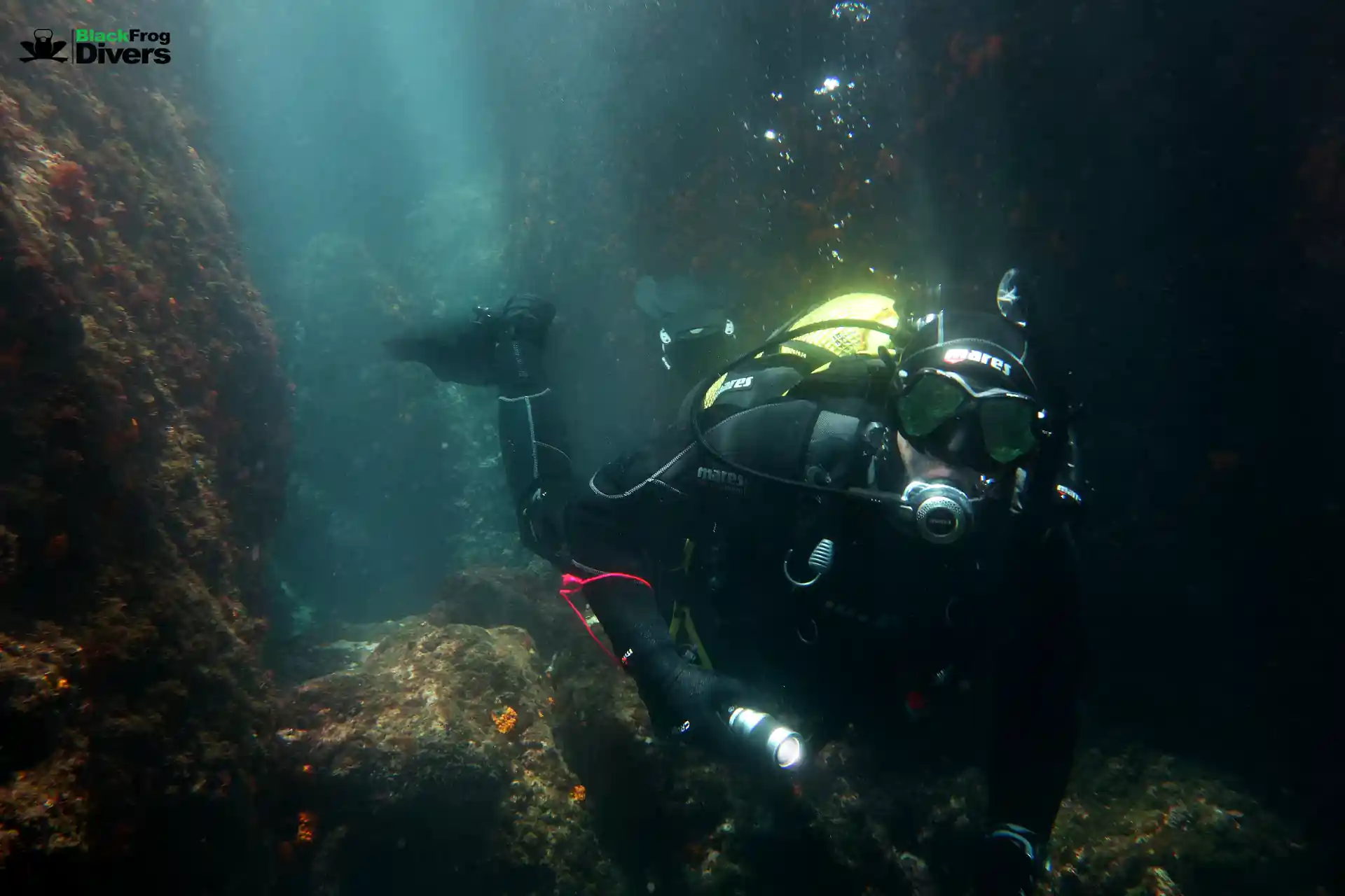 diver on our regular dive spot