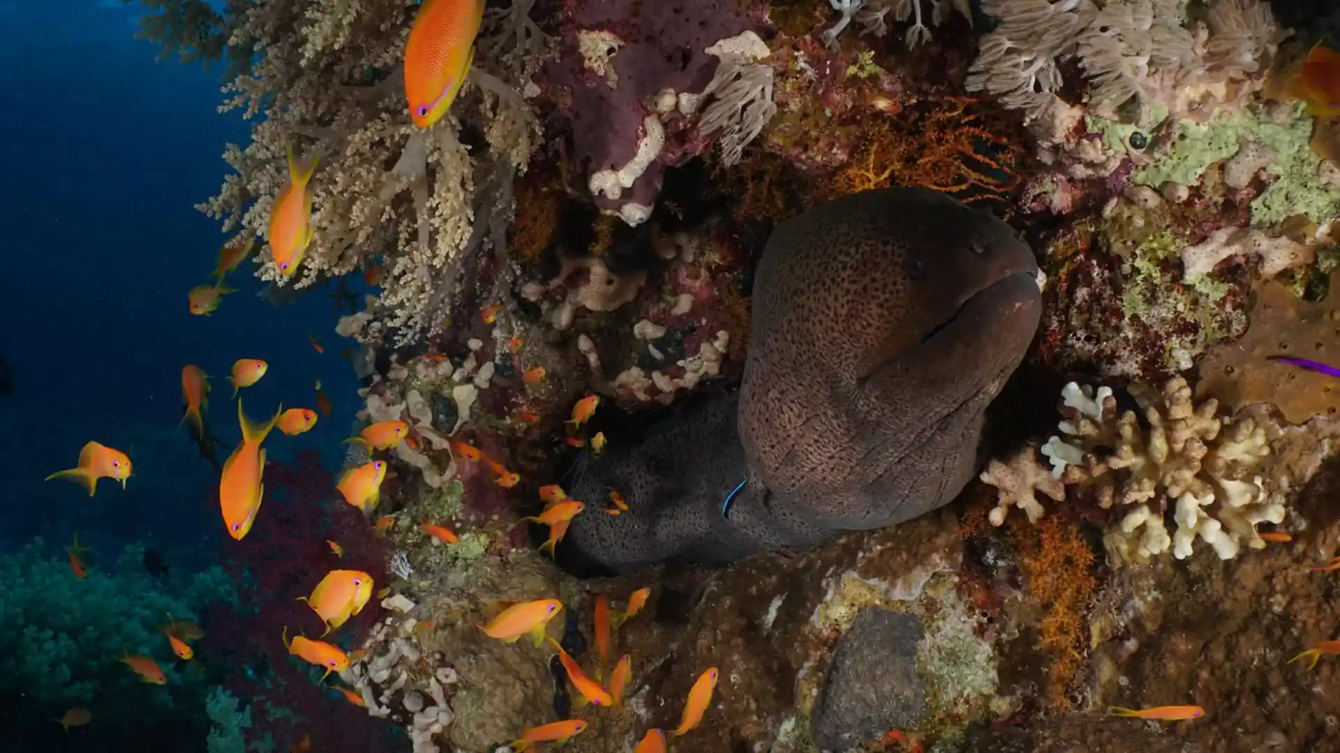 Photo de l'activité