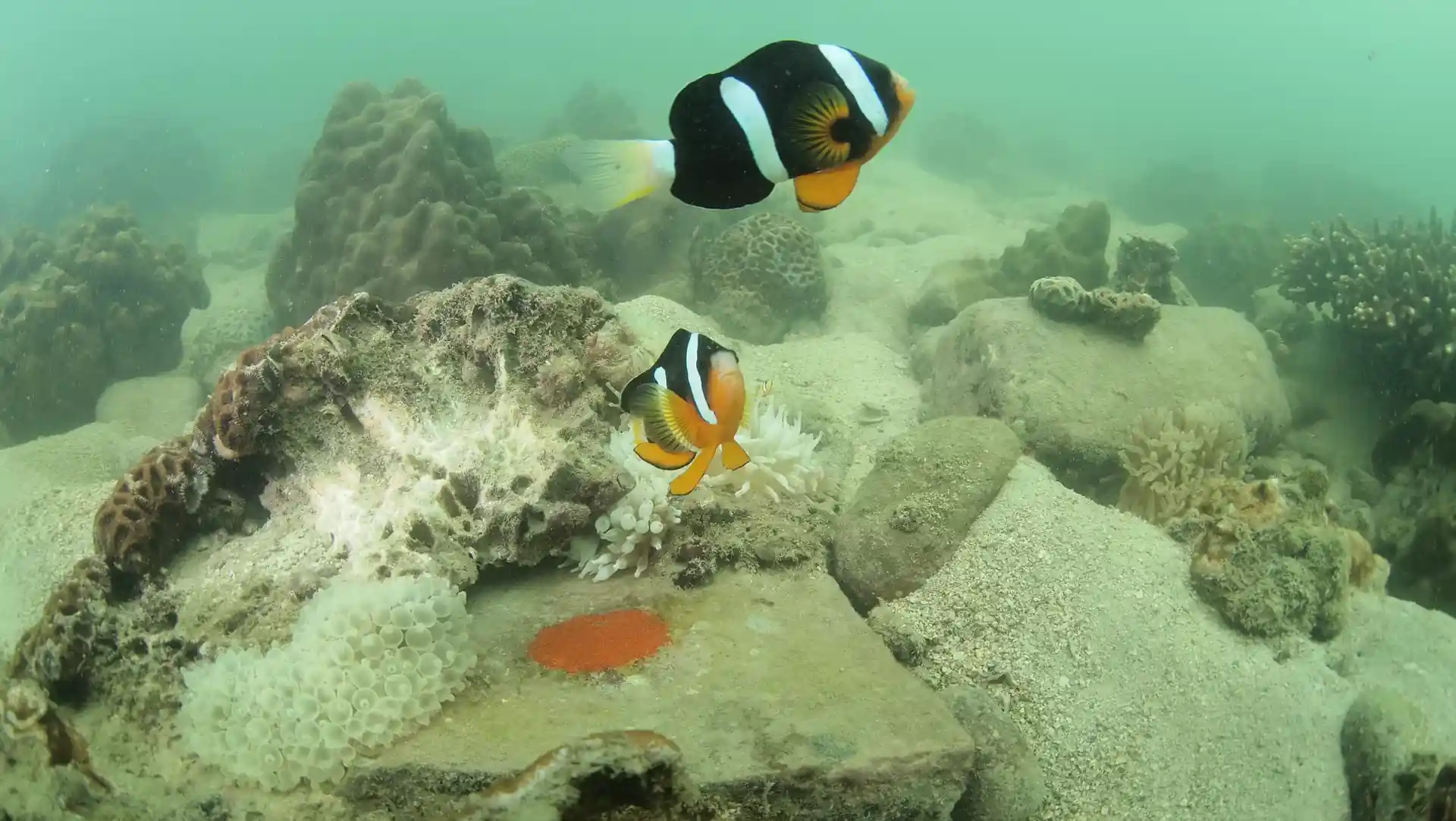 Foto des Tauchplatzes