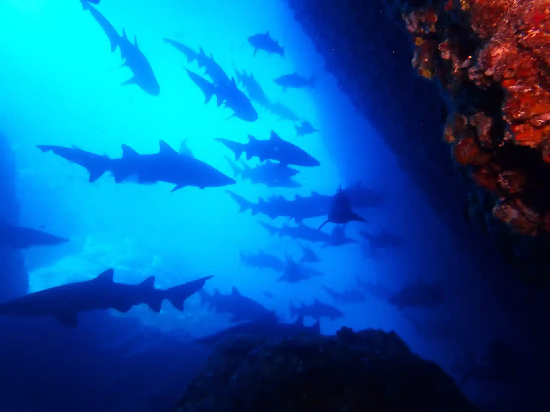 Dive site photo