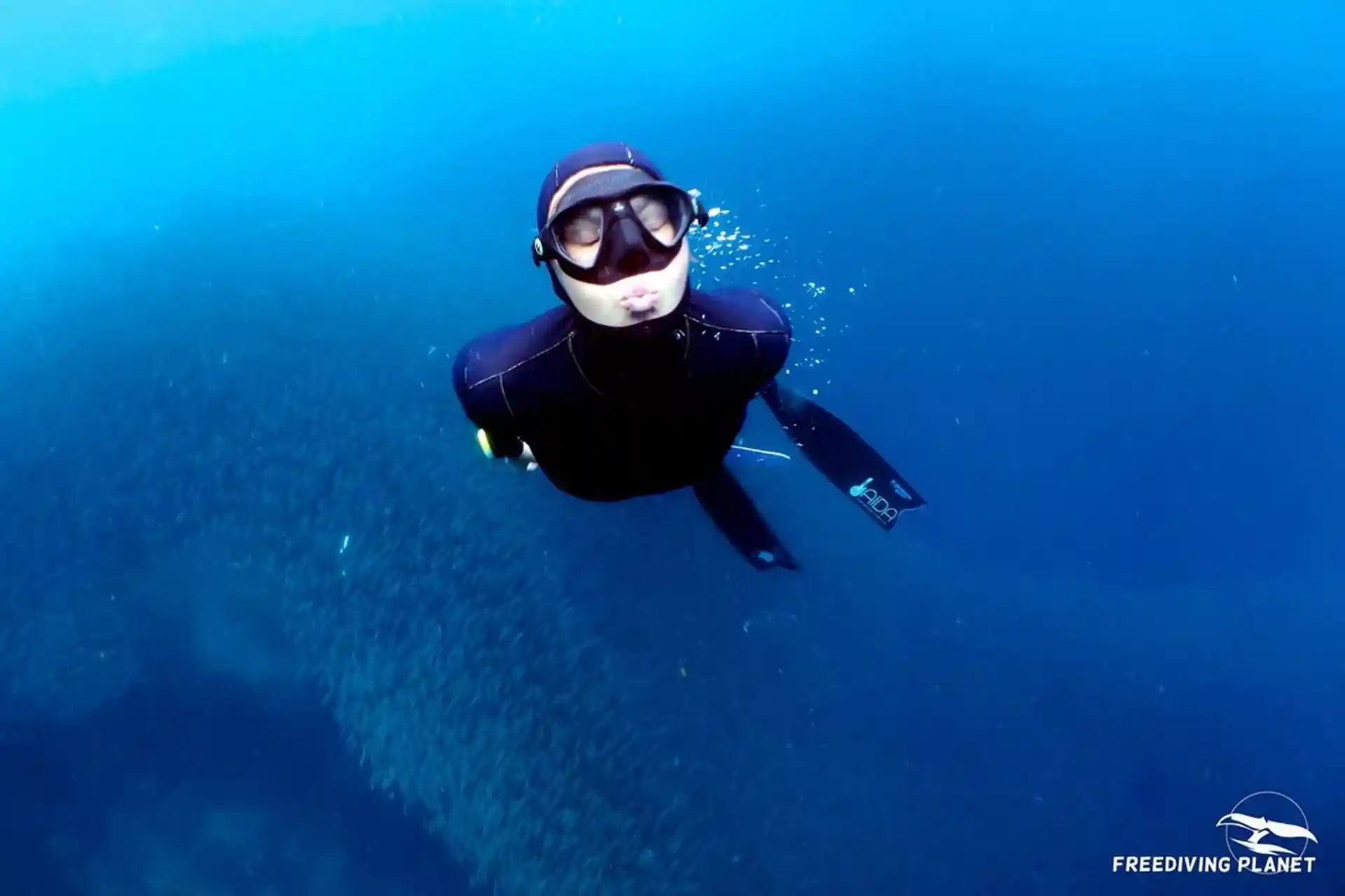 PADI FREEDIVER 
Your entry to the Freediving World