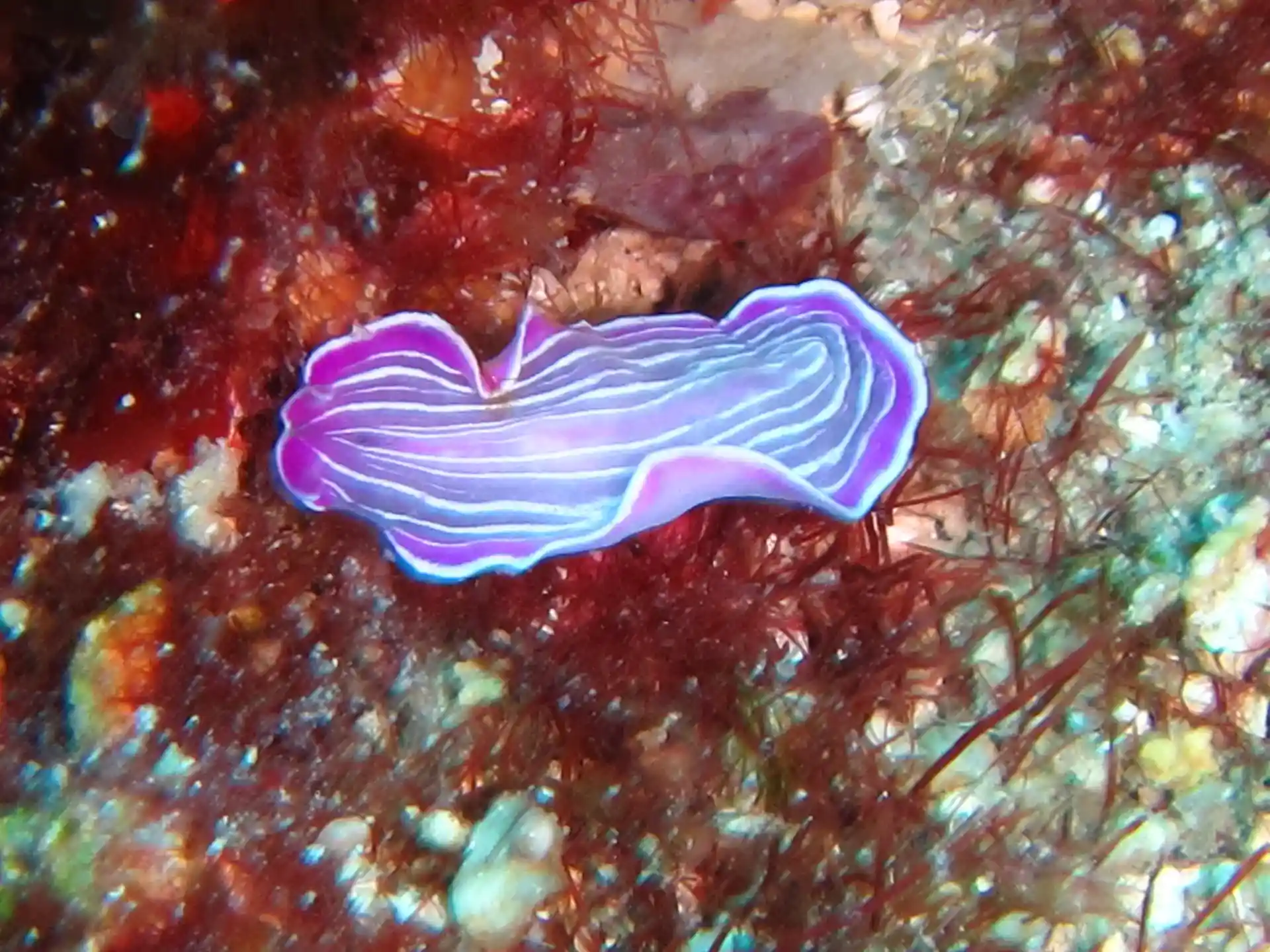 Dive site photo
