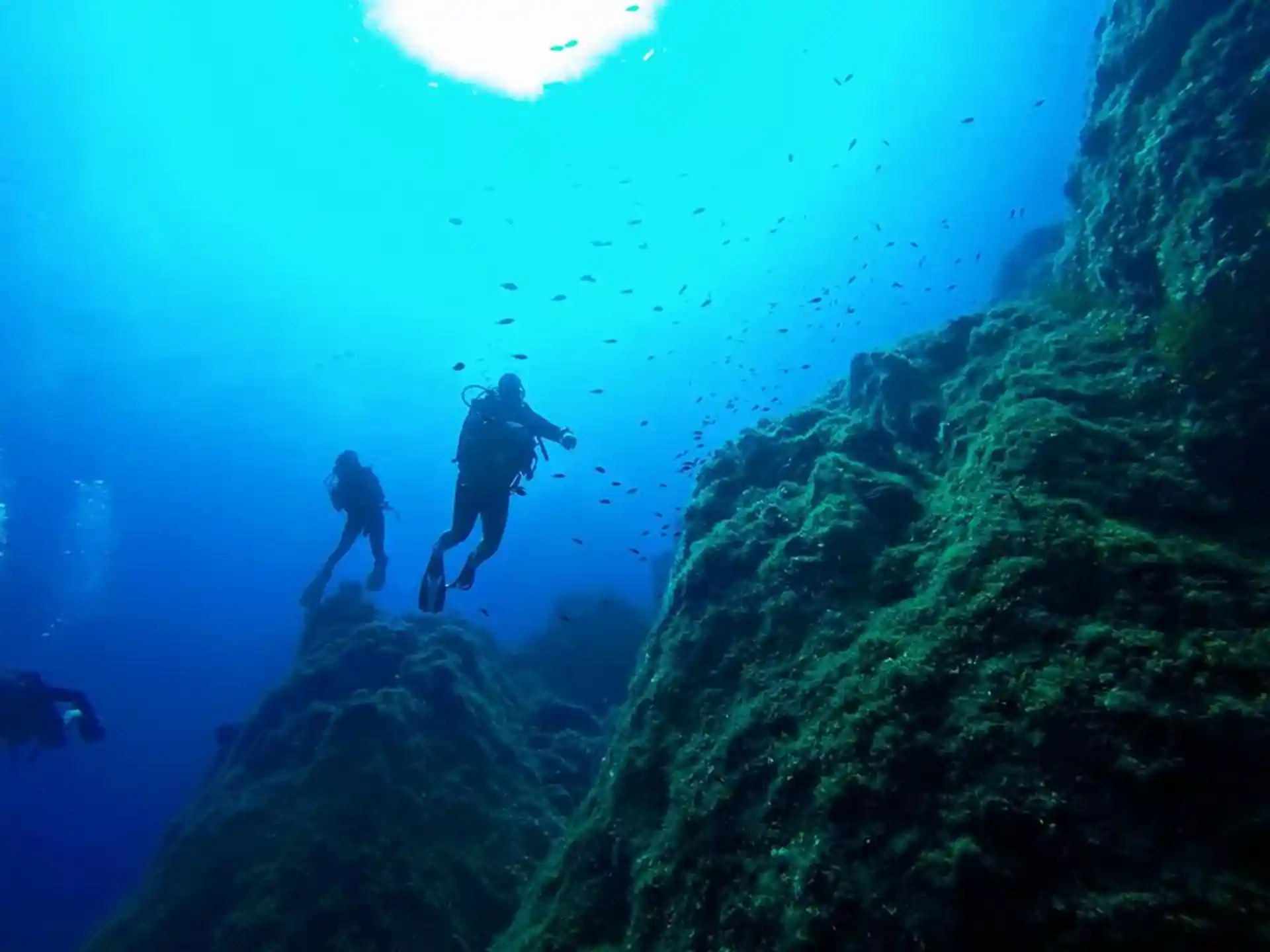 Photo du site de plongée