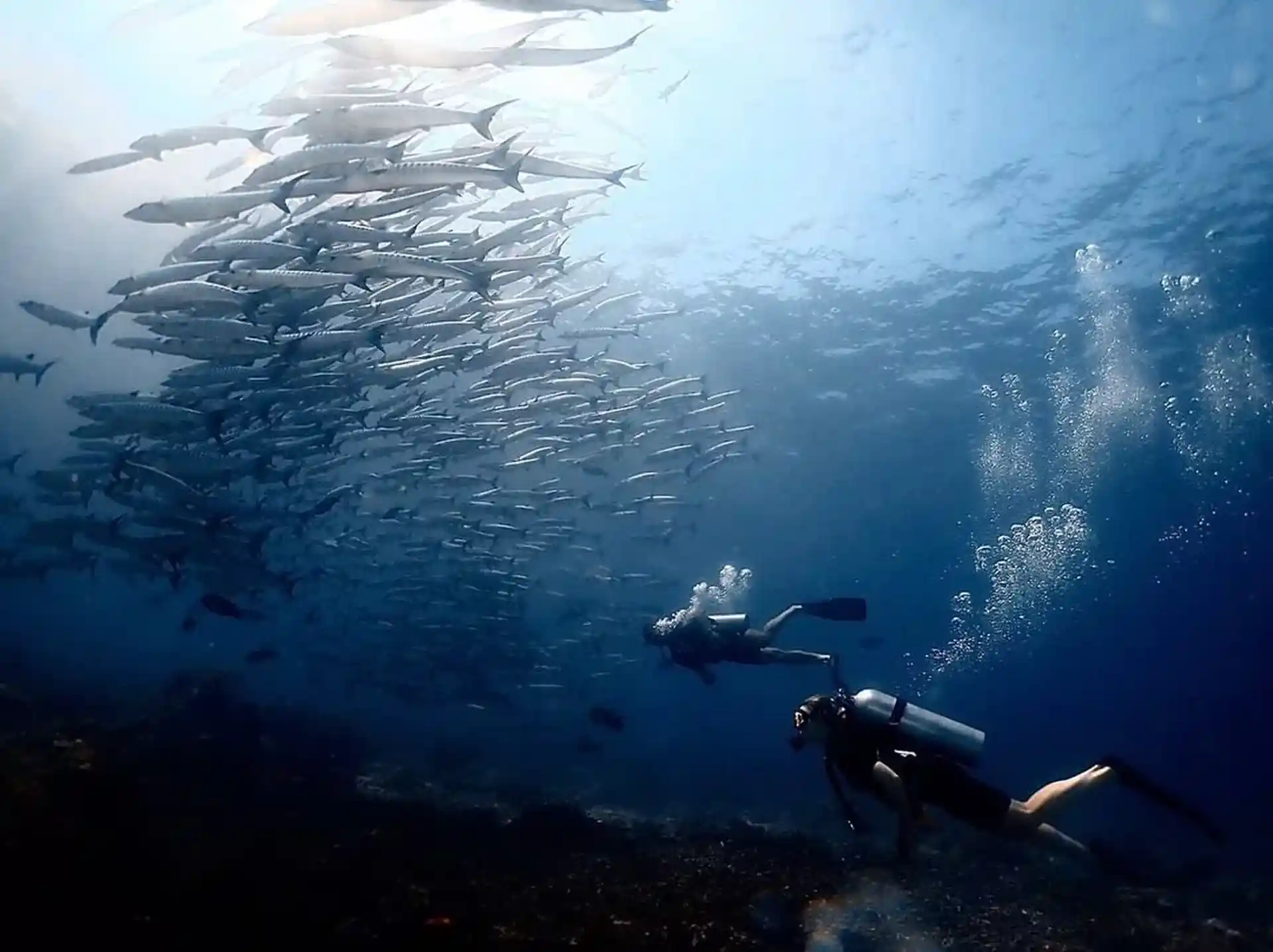 Dive shop photo