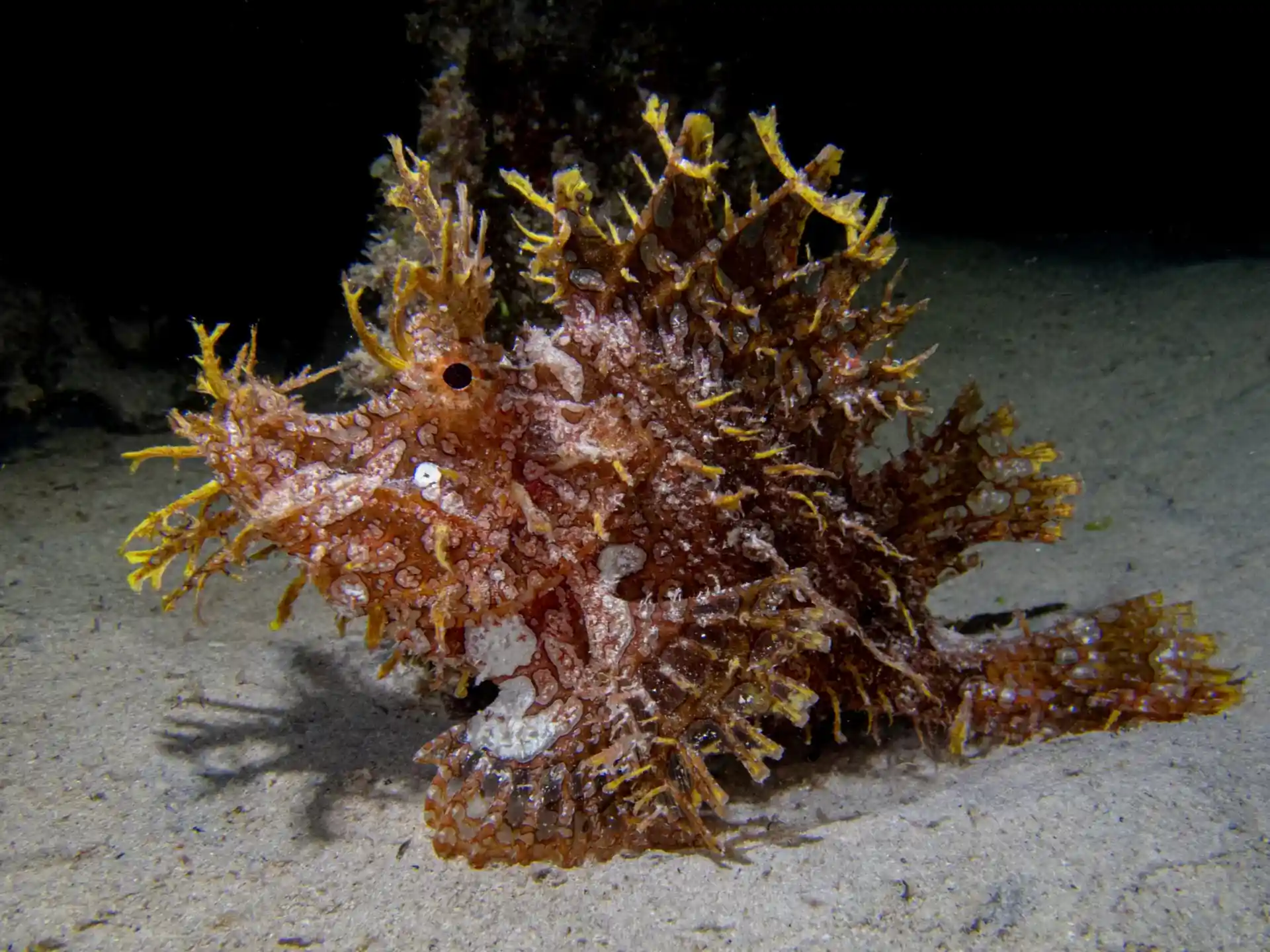 Foto de la actividad