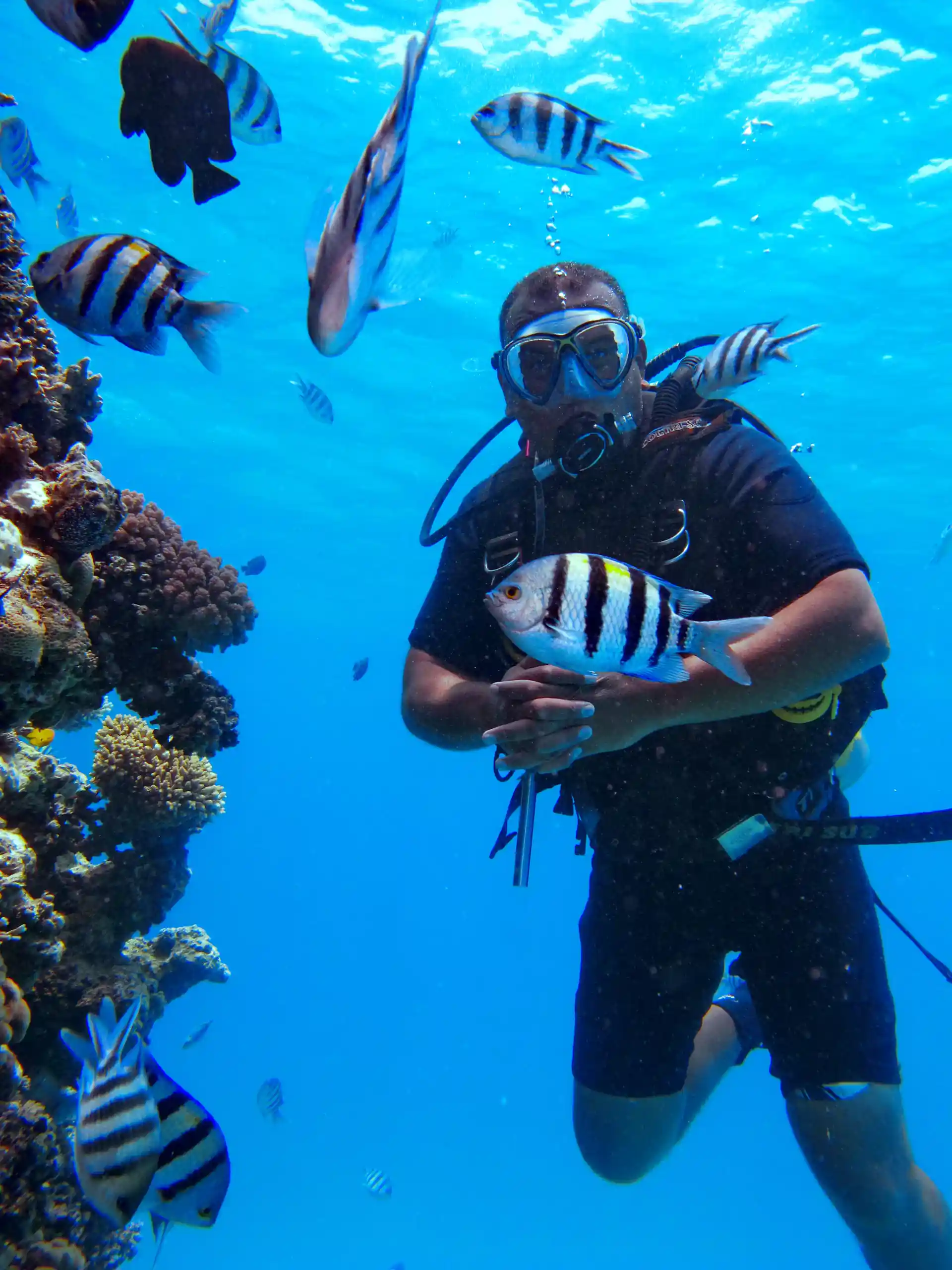 Amazing Red Sea