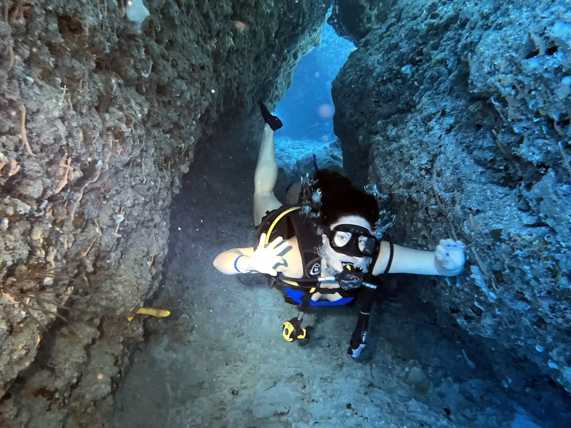Dive site photo