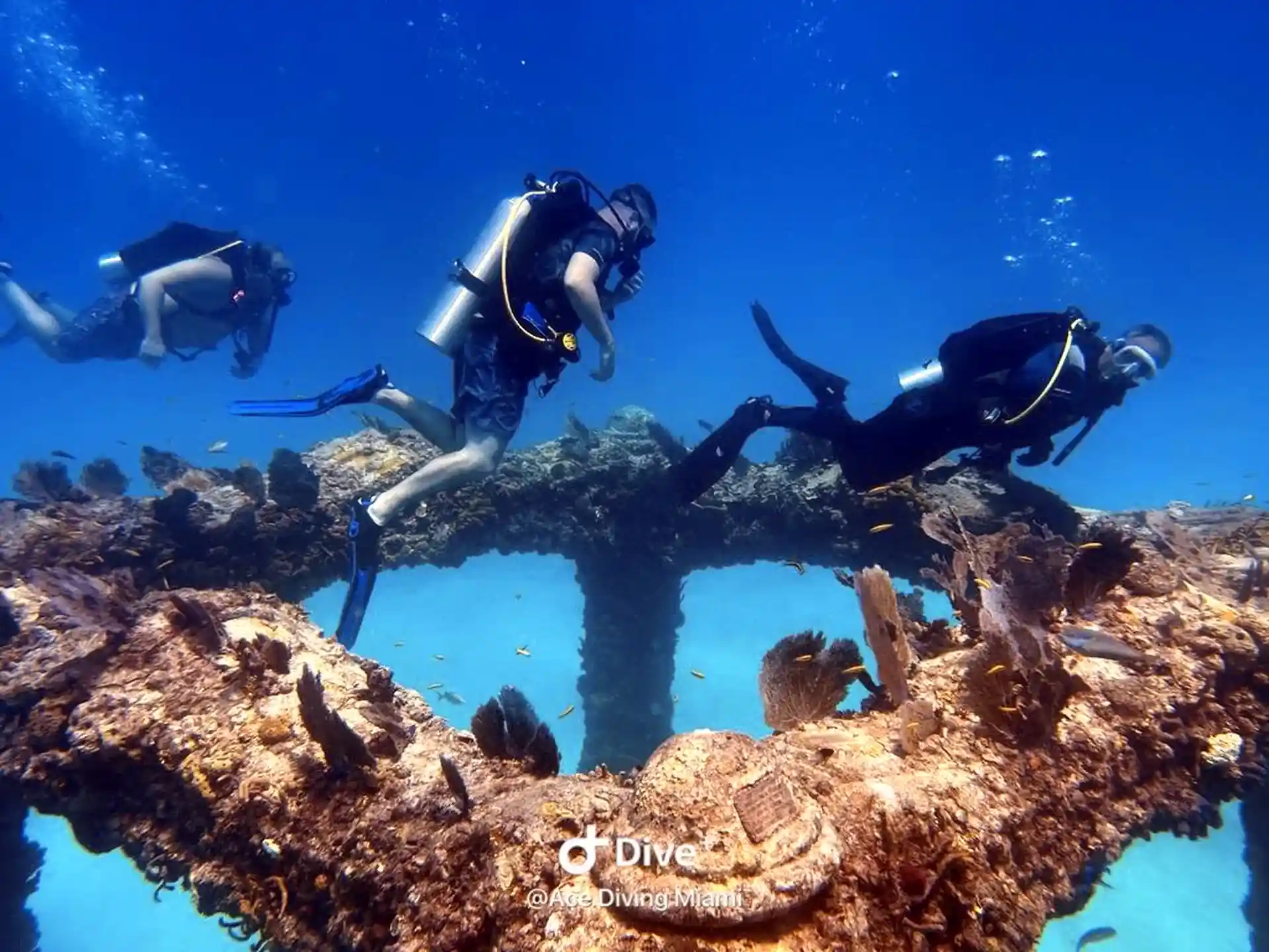 Neptune Memorial Reef