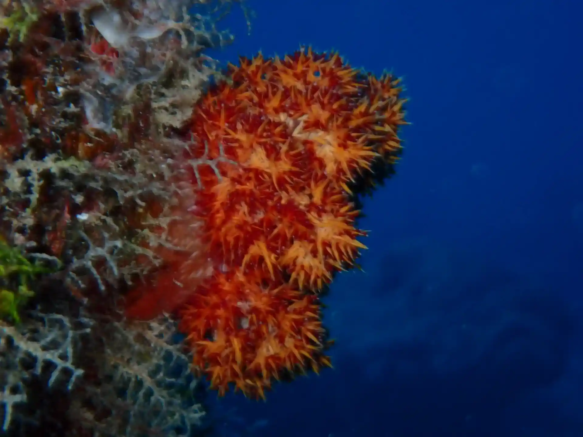 Dive shop photo