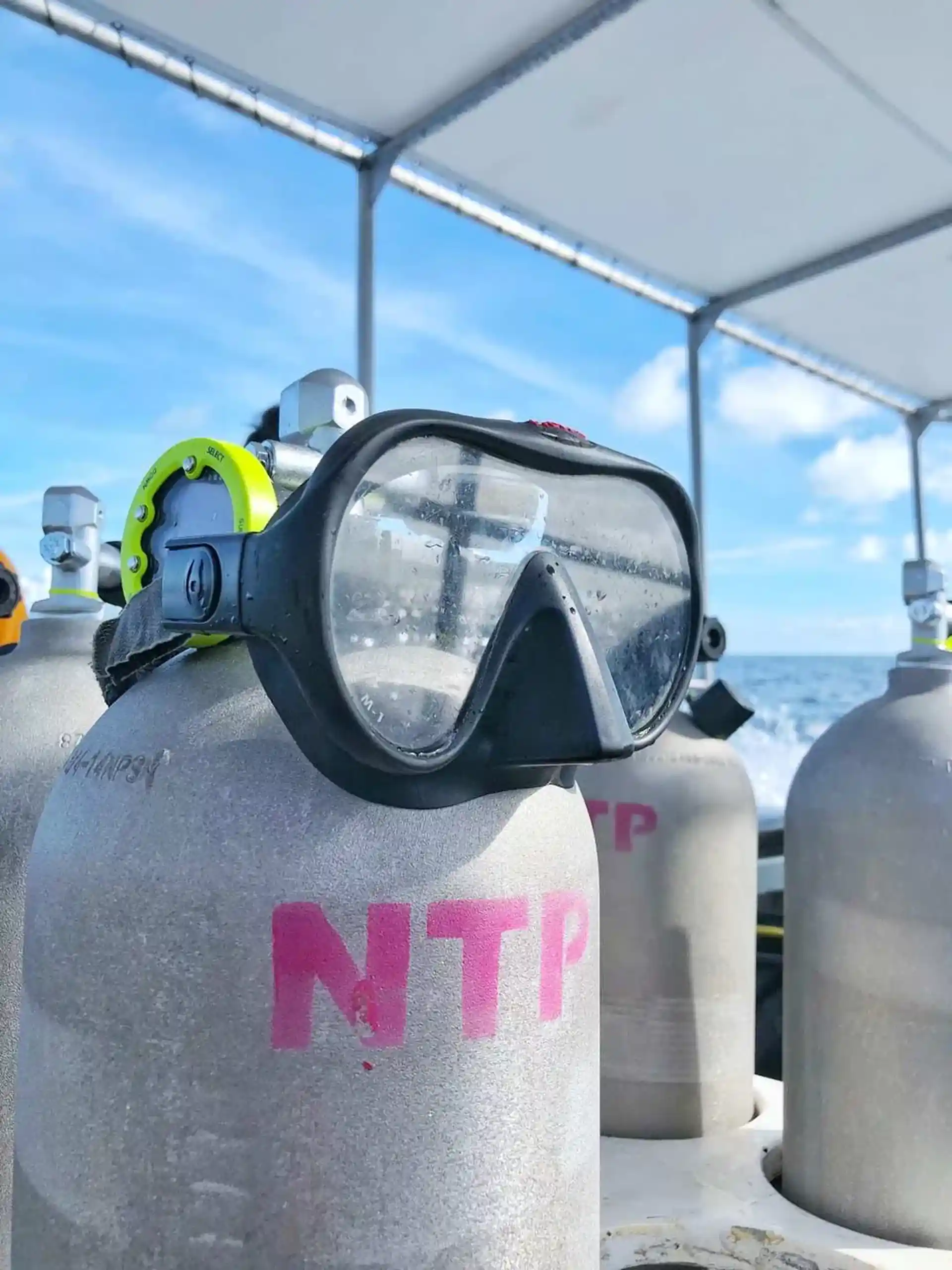 Foto de la actividad