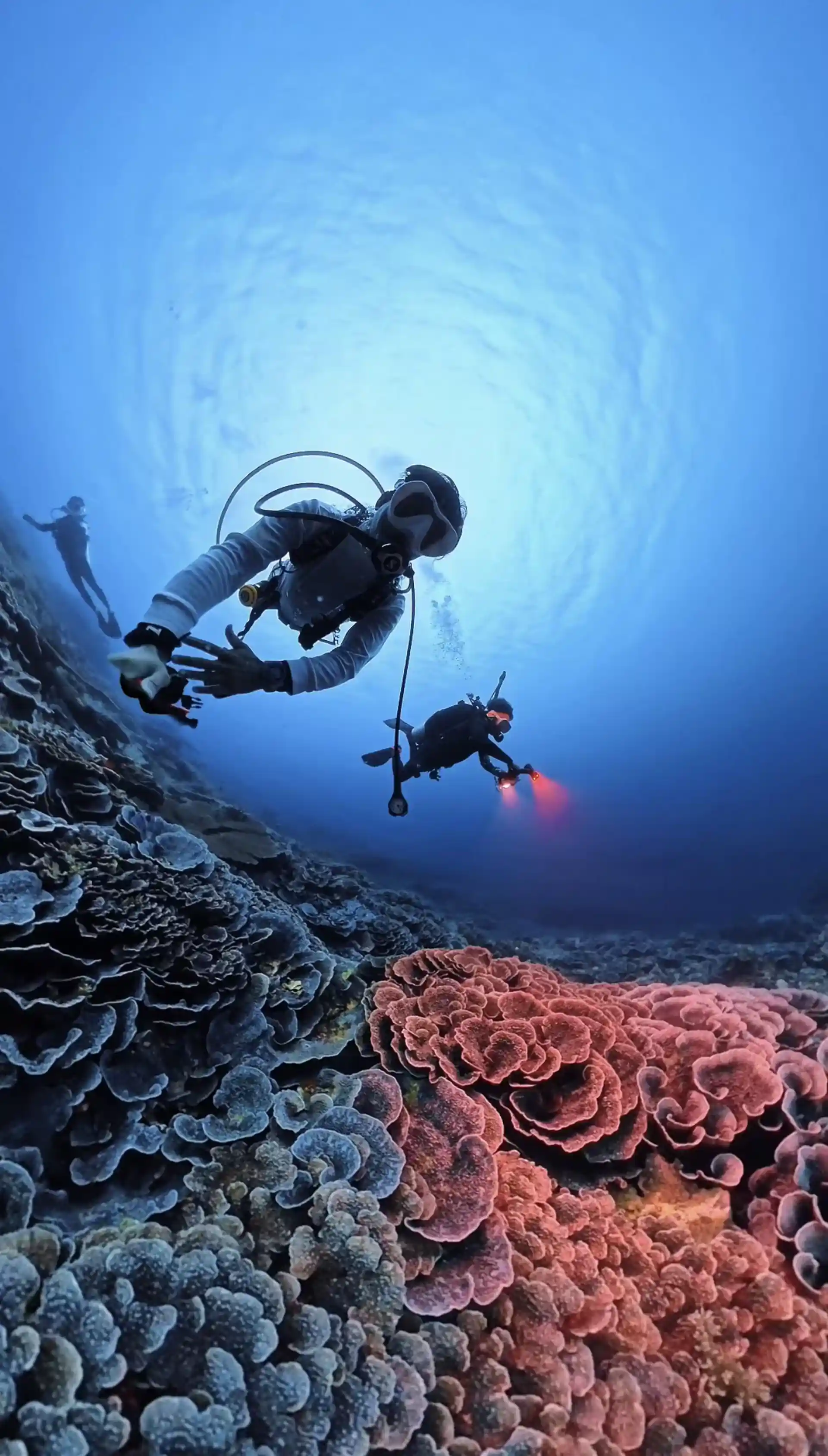 Dive shop photo