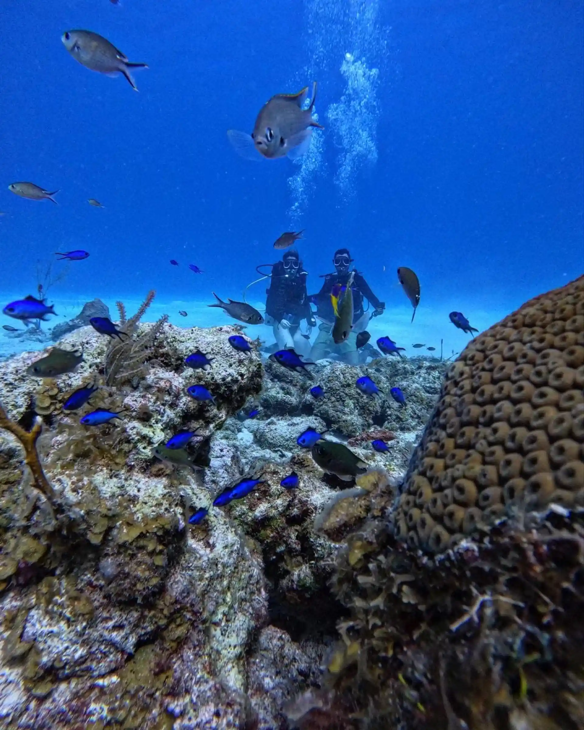 Dive site photo