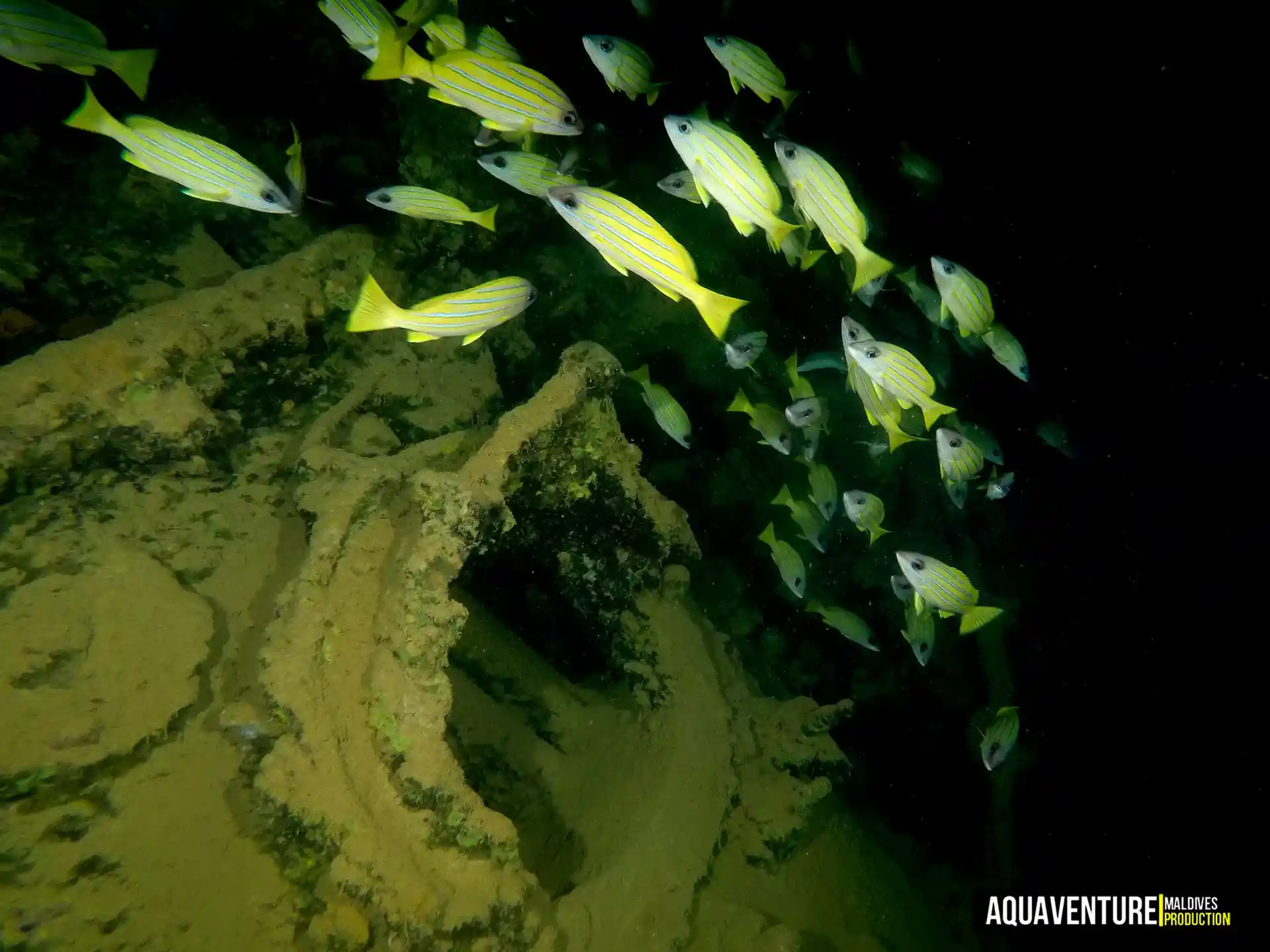 Foto del sitio de buceo