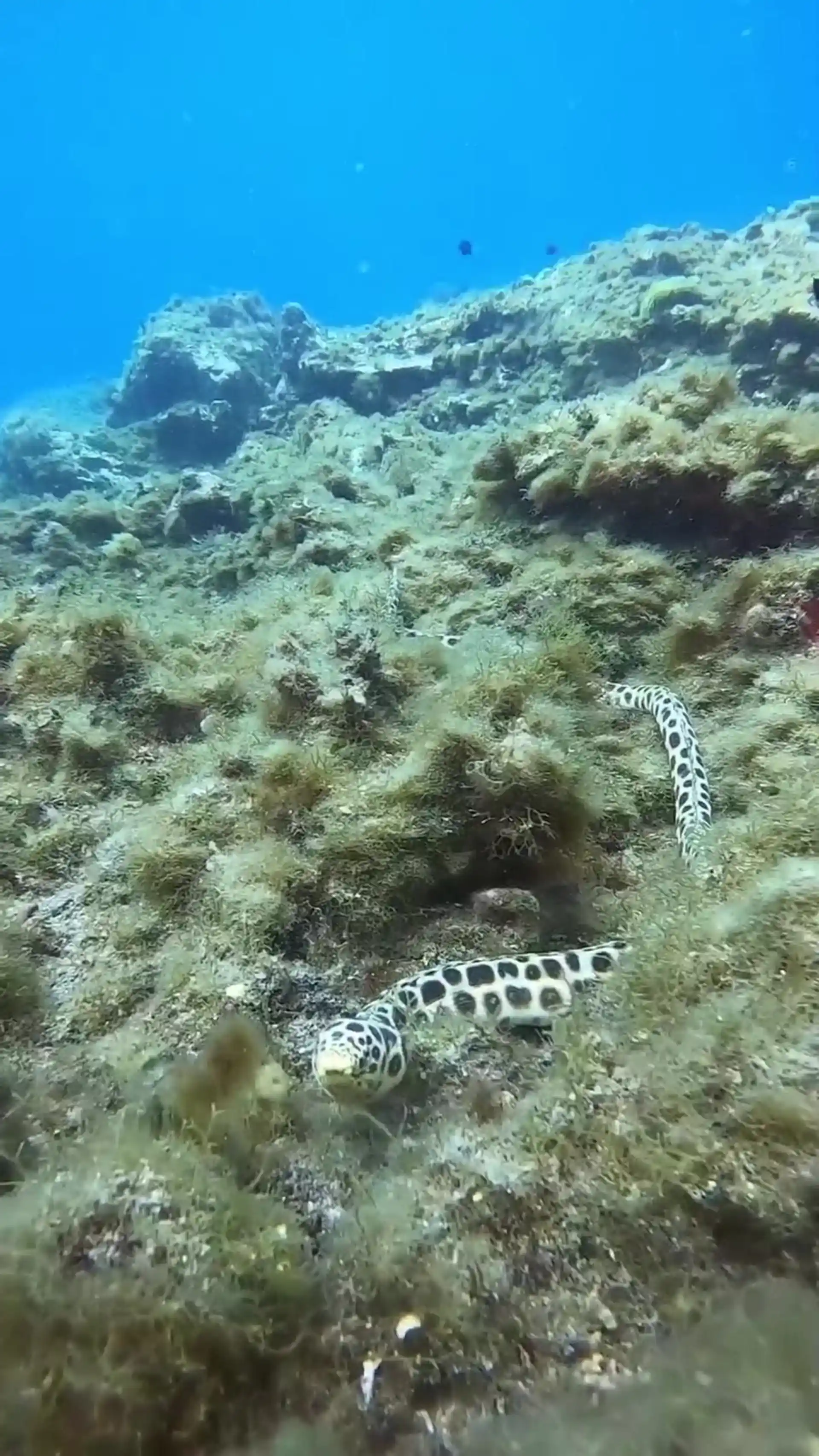 Dive shop photo