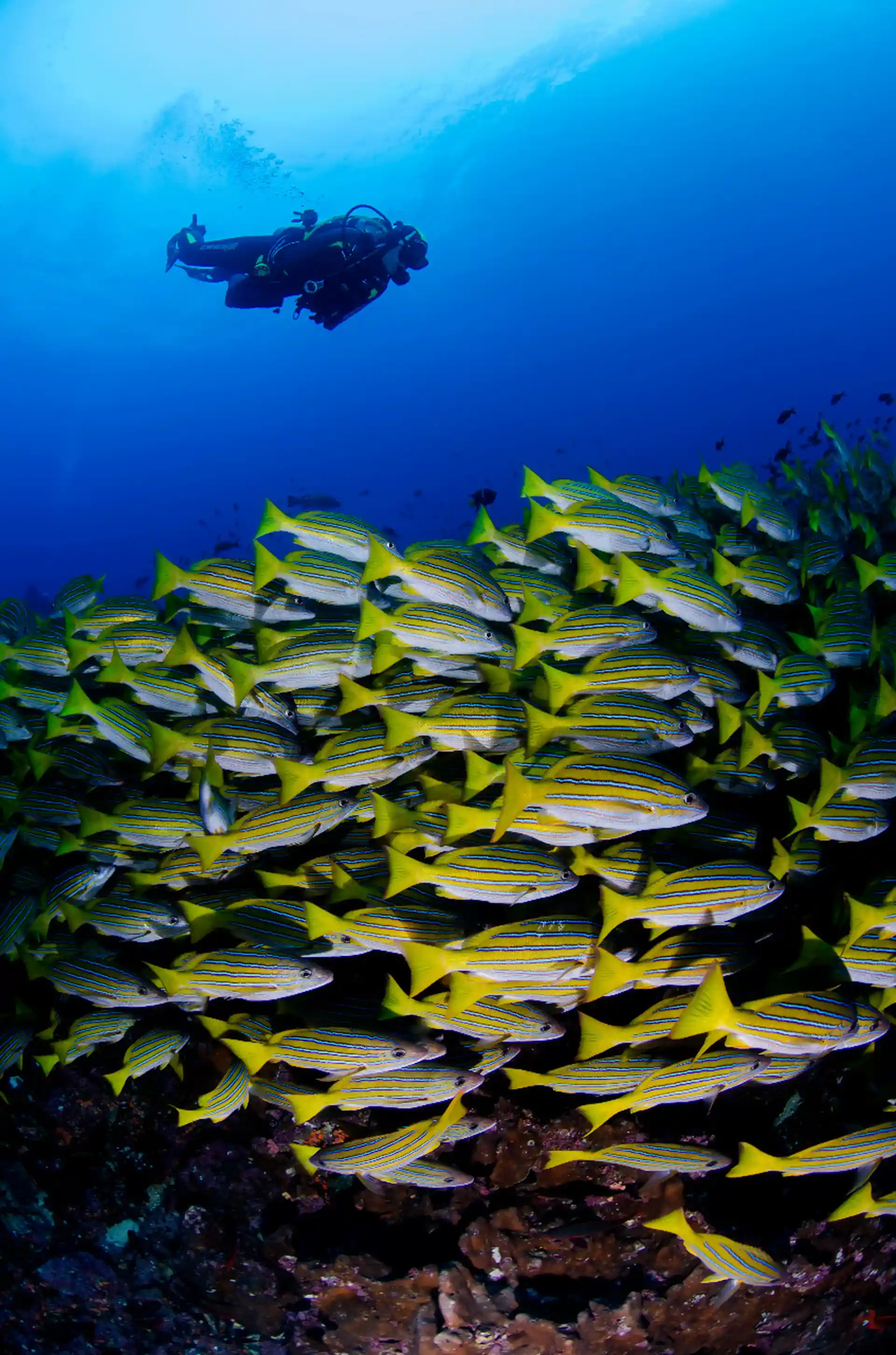 Dive shop photo