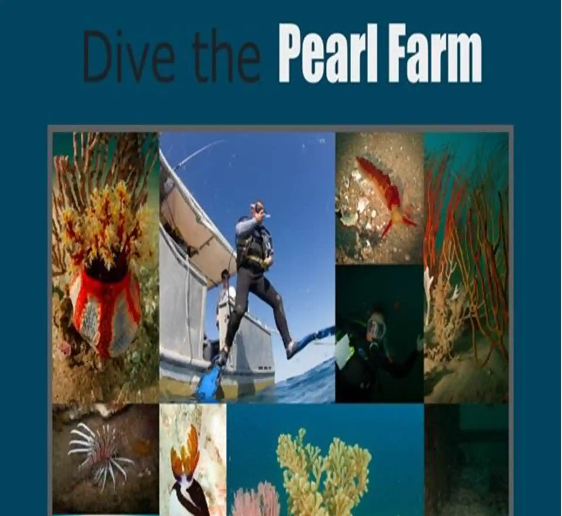 Dive shop photo