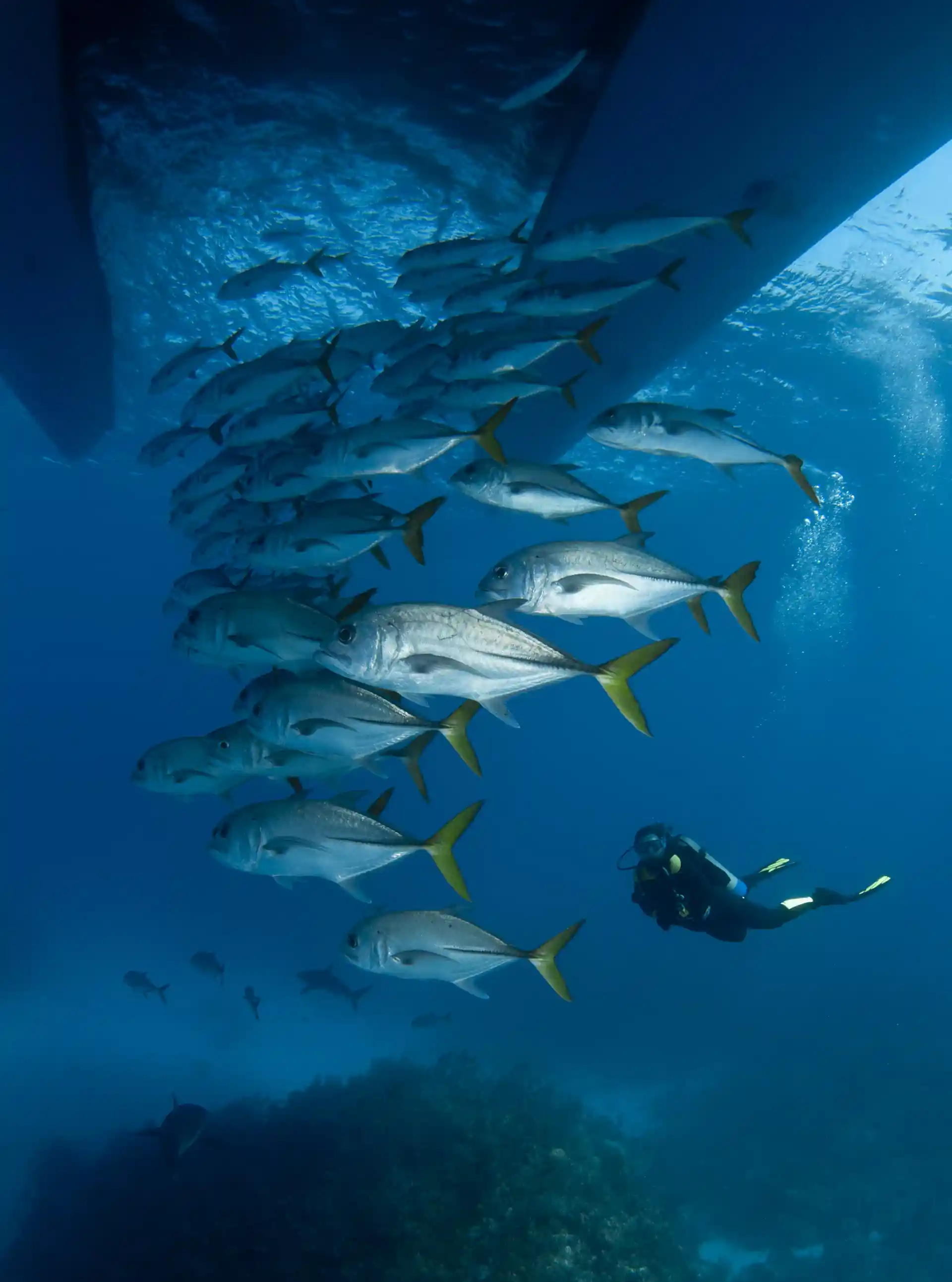 Dive shop photo