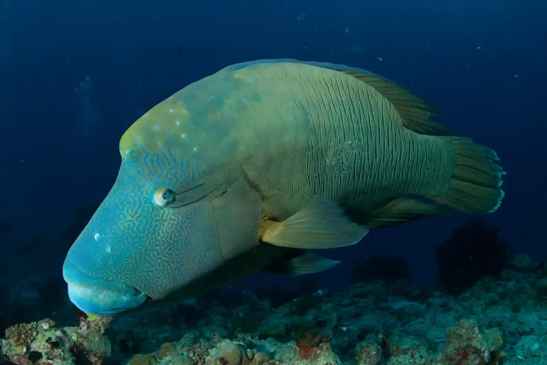 Dive site photo