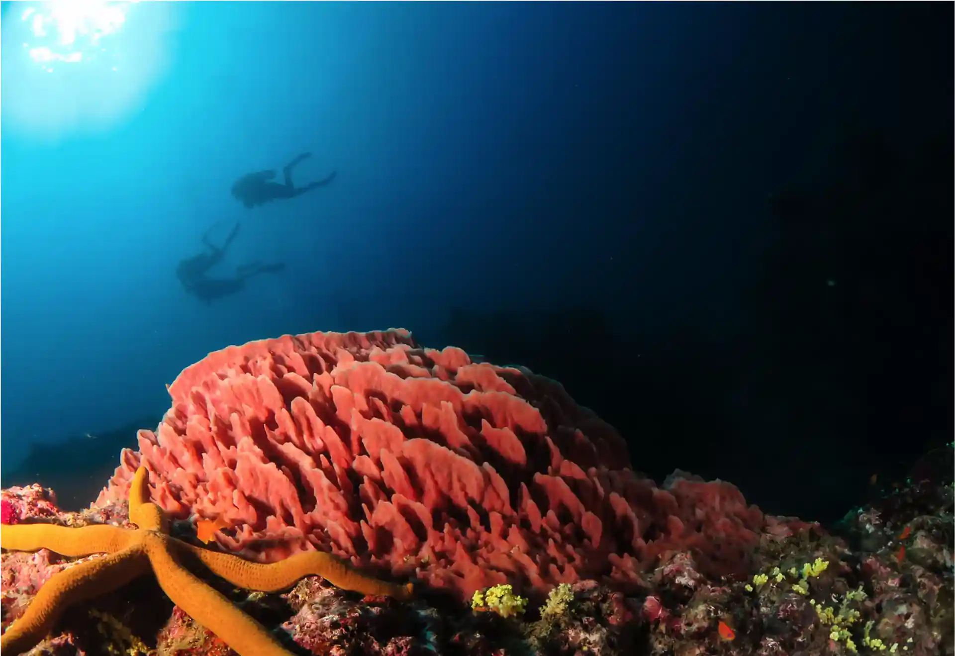 Dive site photo