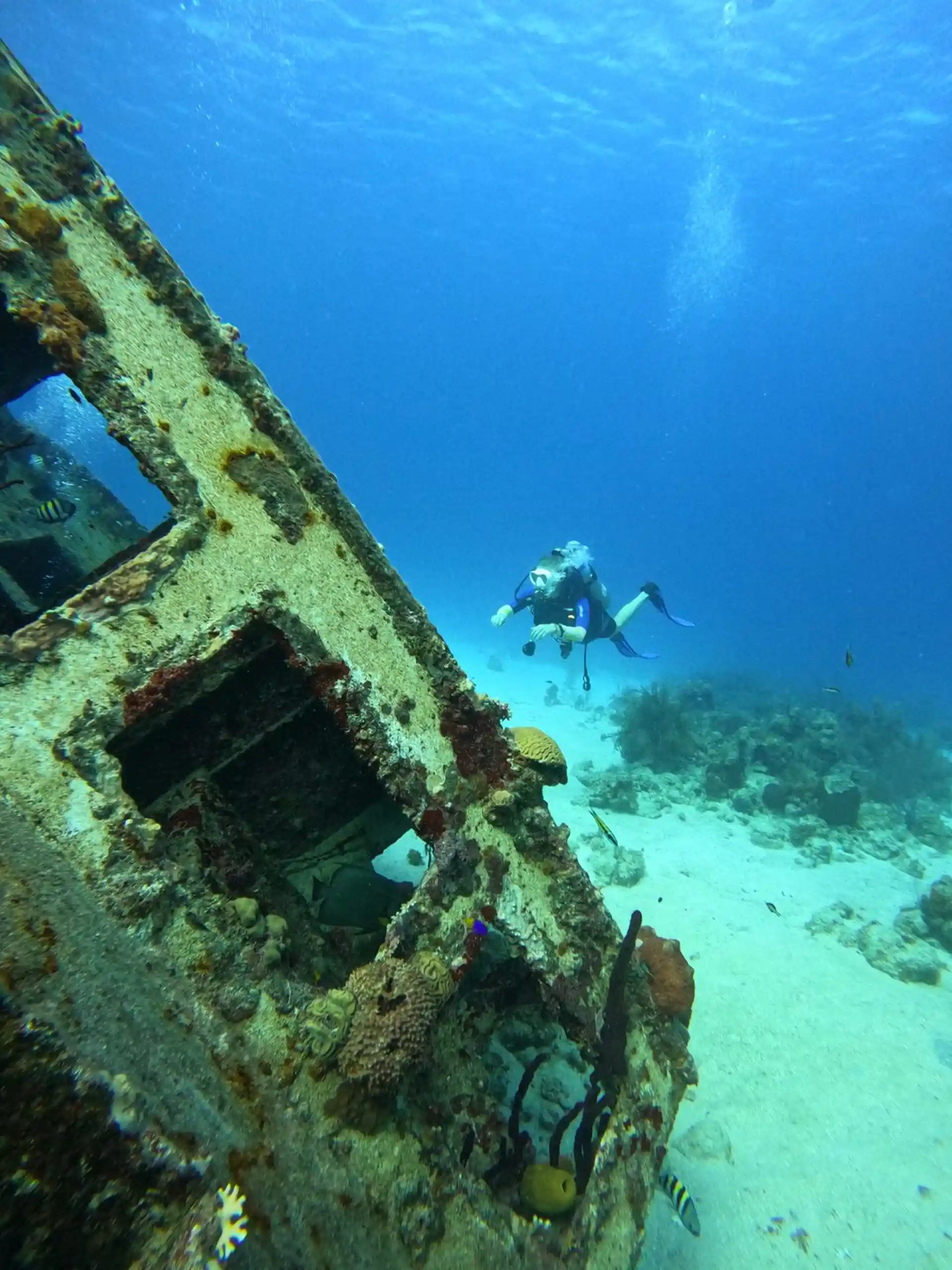 Dive site photo