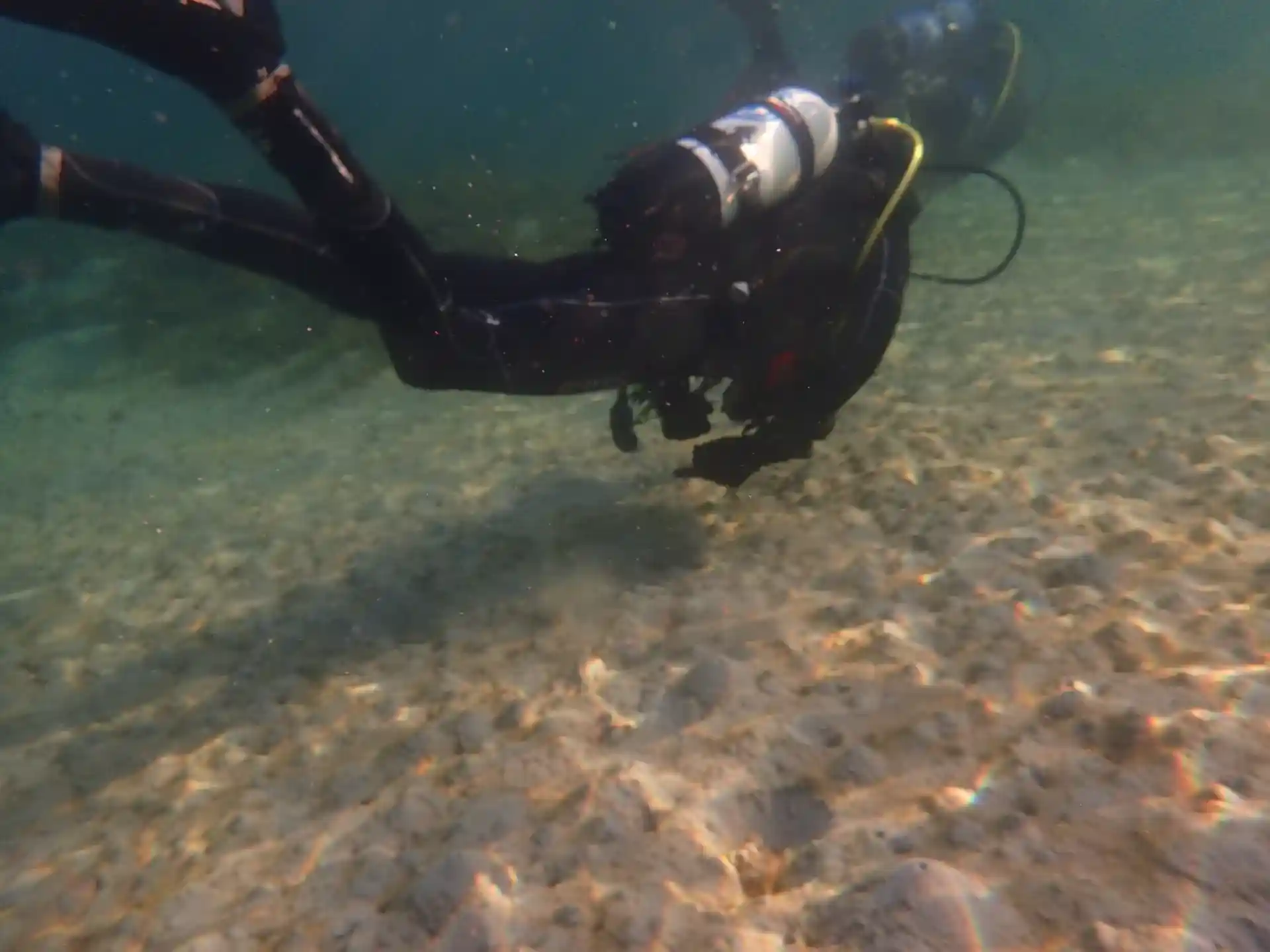 ダイビングサイトの写真