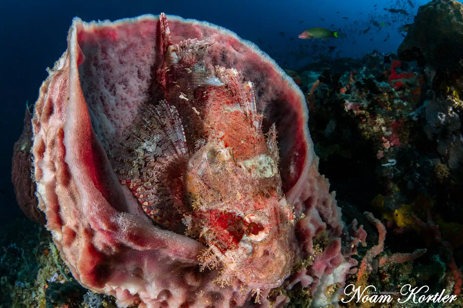 Dive site photo