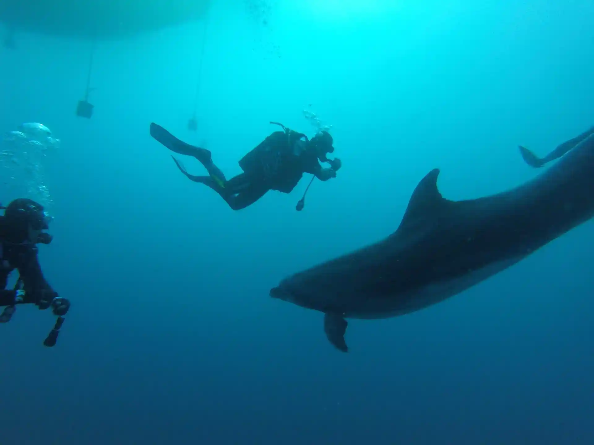 Dive site photo