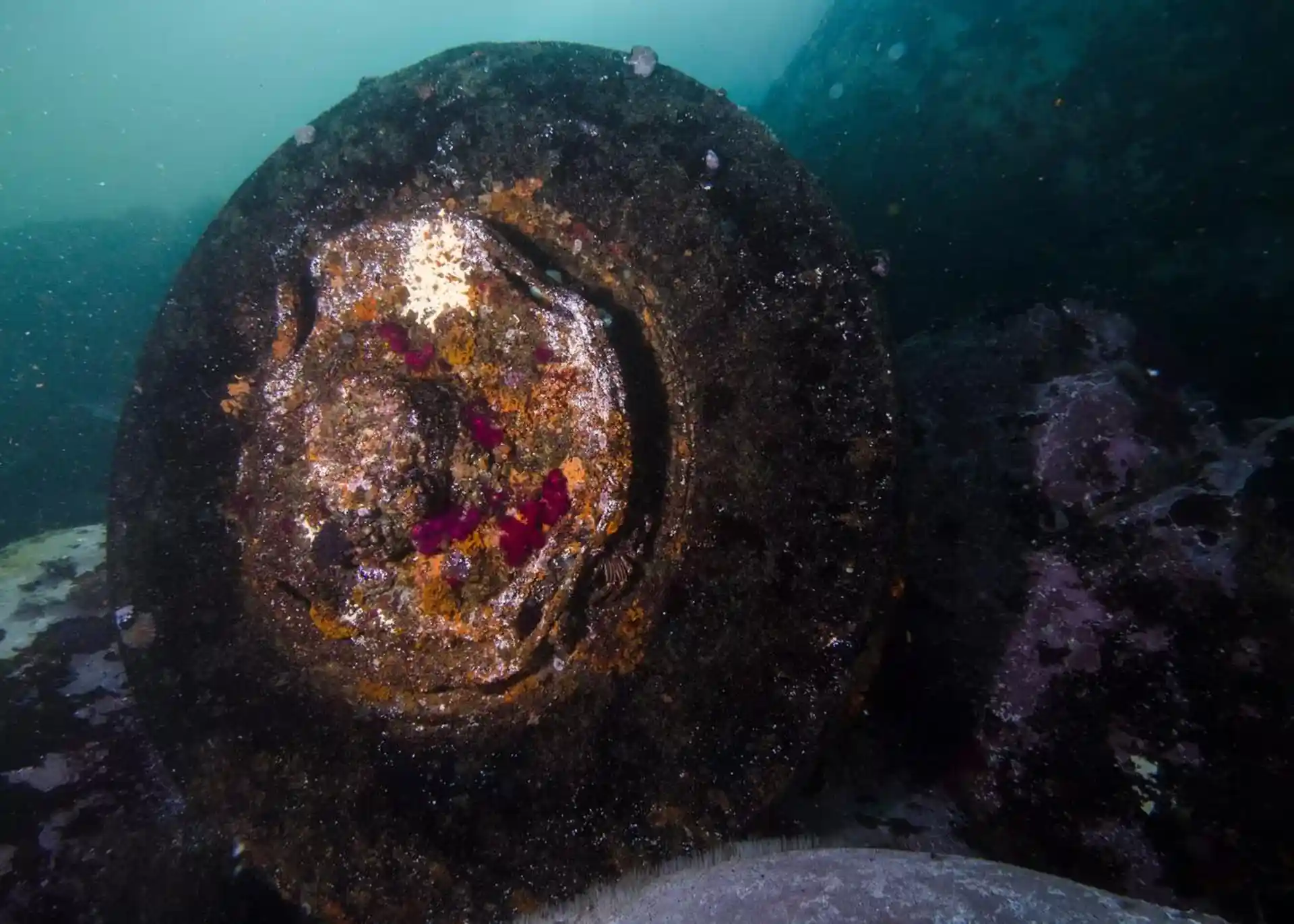 Dive site photo