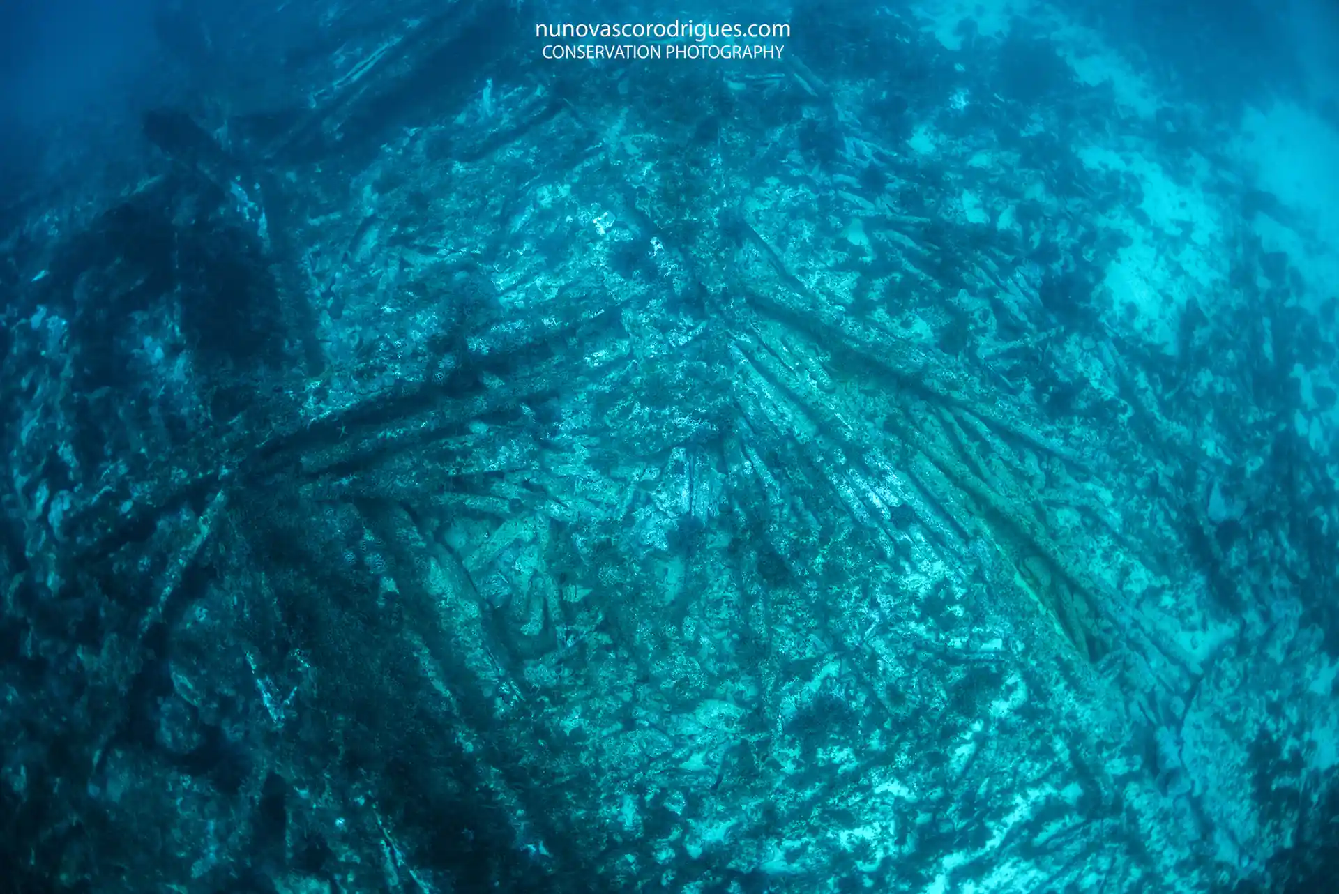 Dive site photo