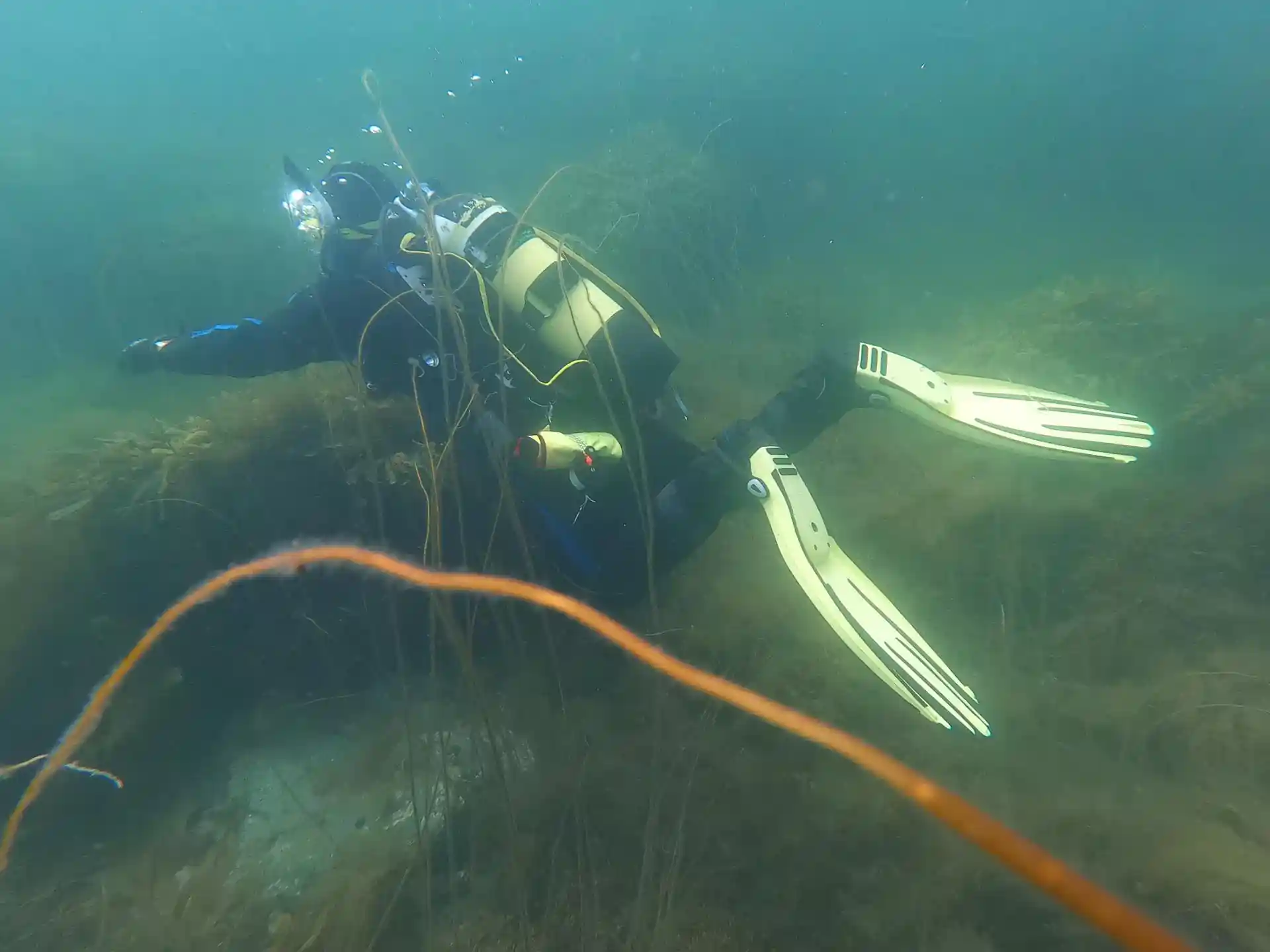 Dive site photo