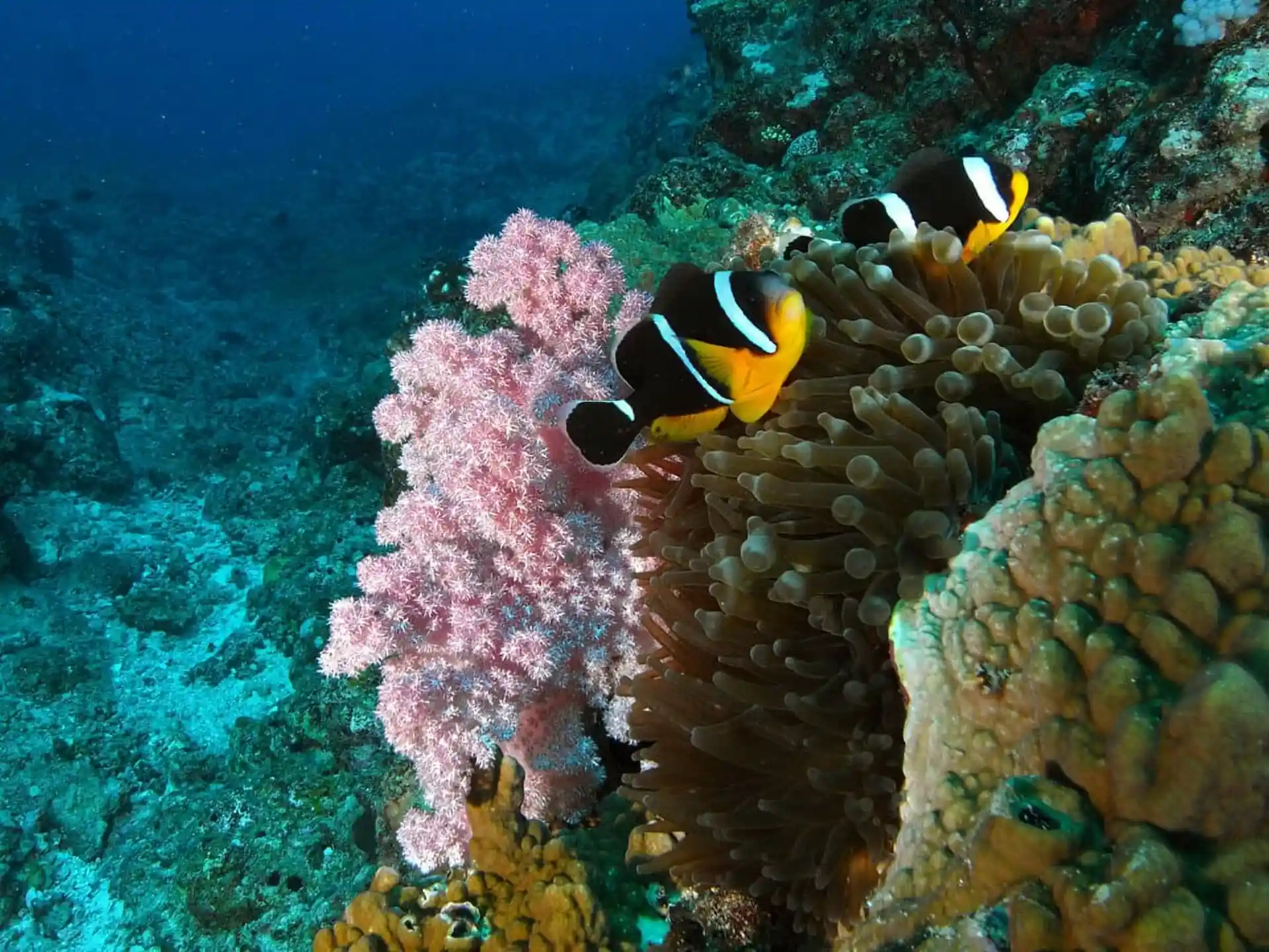 Photo de l'activité