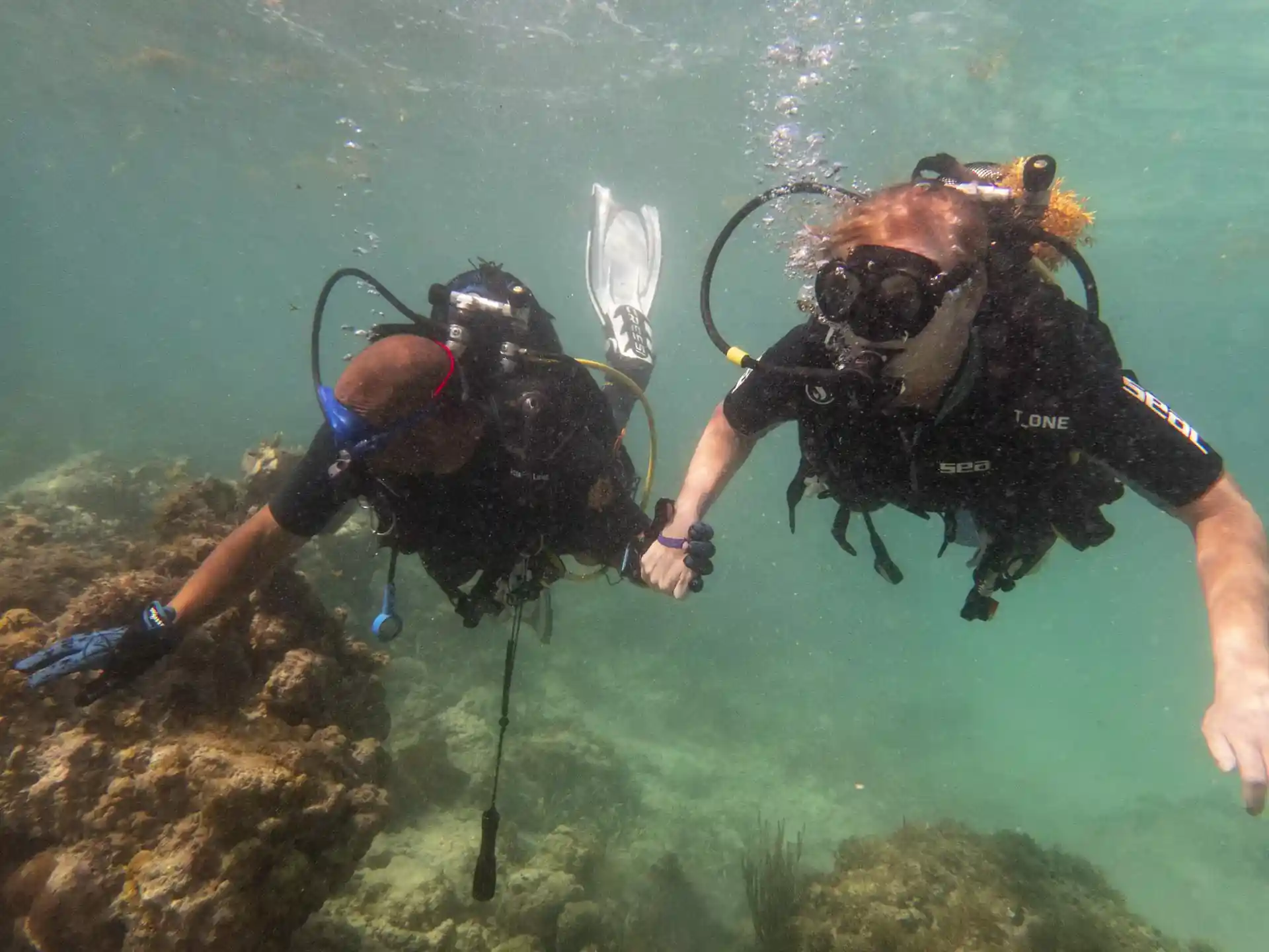 Photo du magasin de plongée