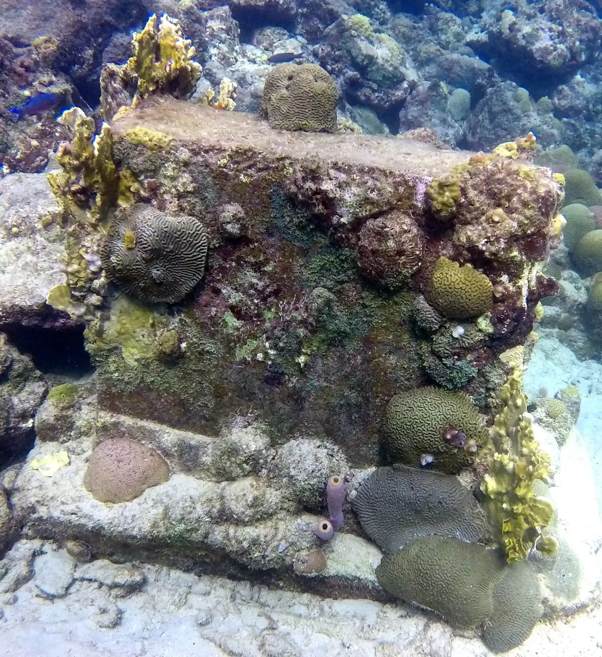 Dive site photo