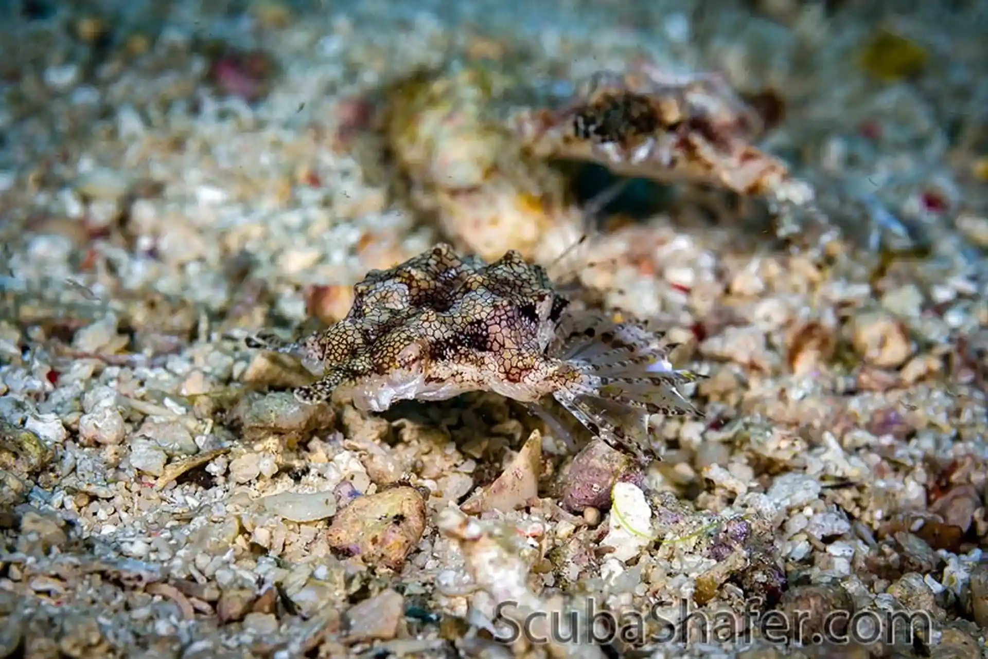 Dive site photo