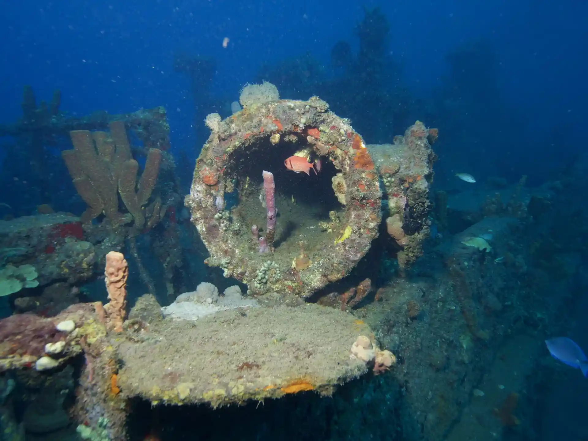 Photo du site de plongée